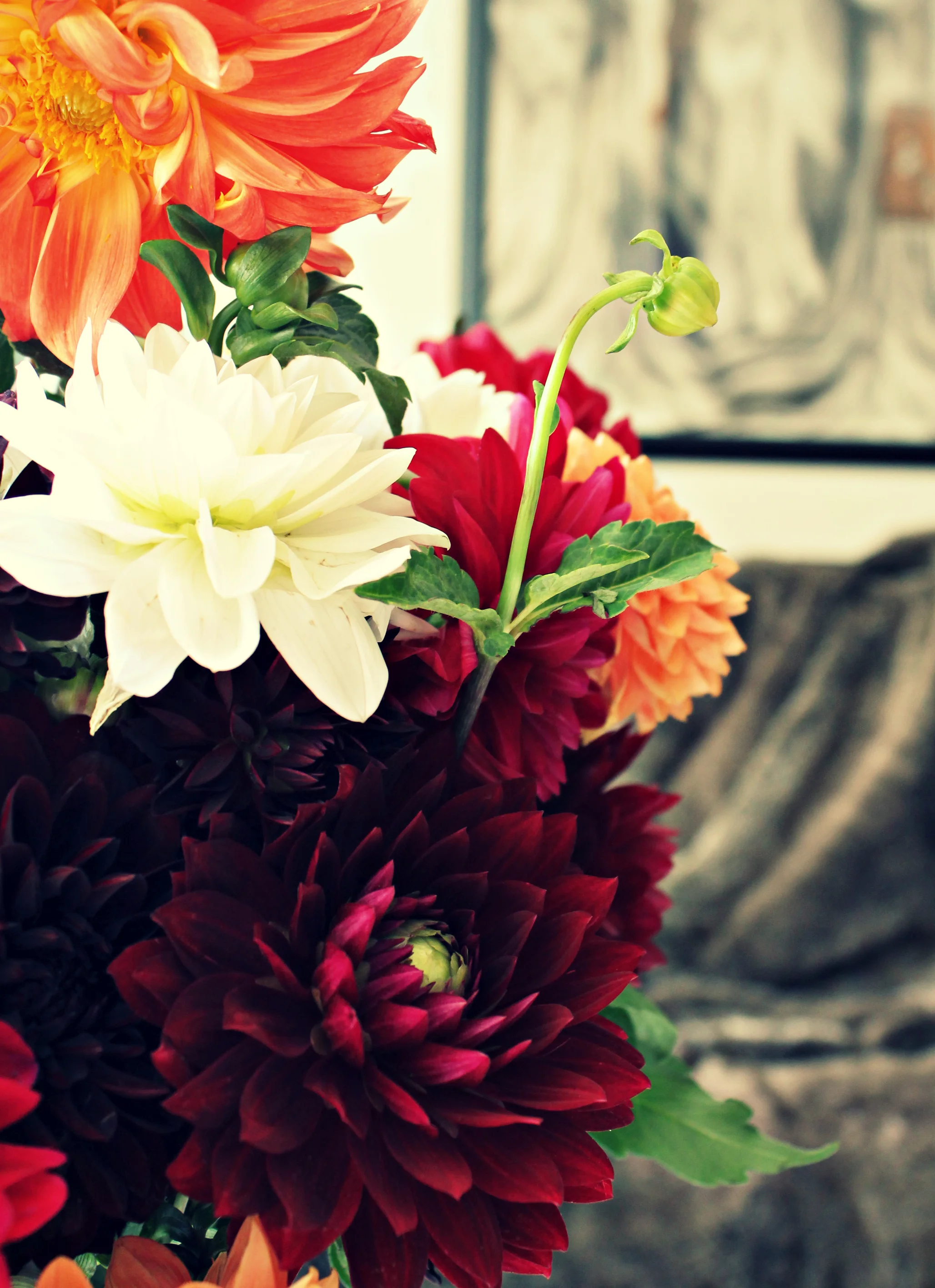 DAHLIA I.jpg