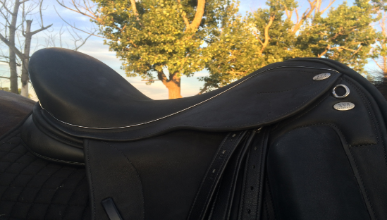 SEAT CUSTOMIZATIONS Customizations of both seat width and depth for comfort to each rider. Depending on the riders body structure or needs, the seat can be customized for the specific needs of each individual. 