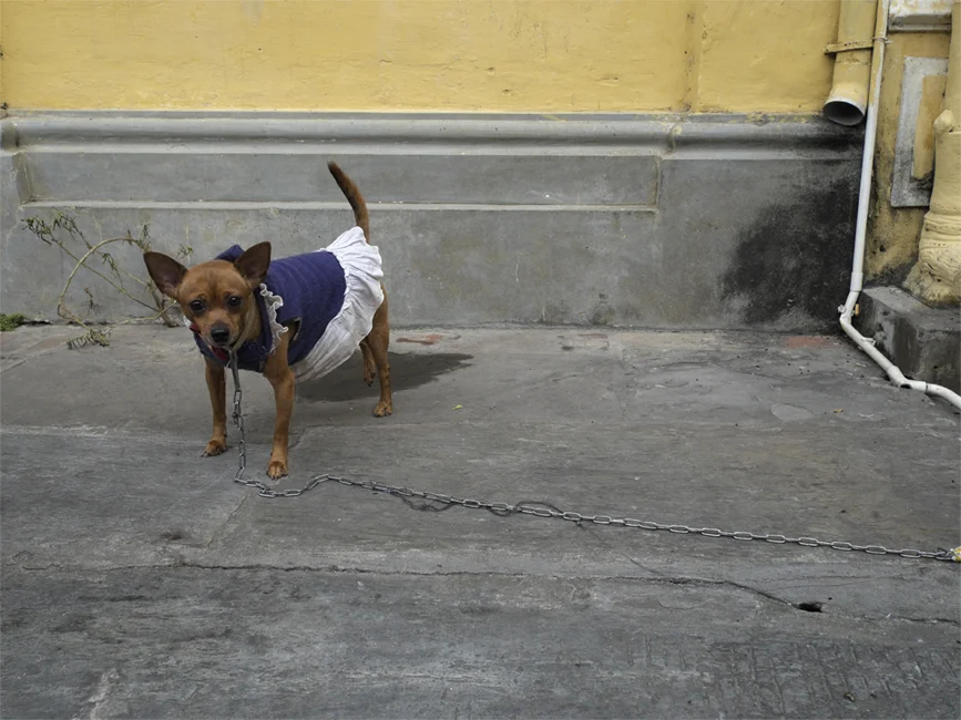 Welcome-to-Vietnam-08.jpg