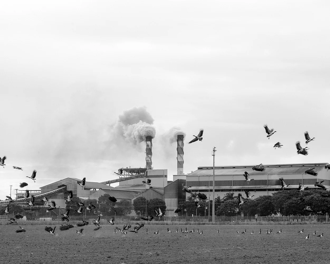 HYW-1-13.jpg