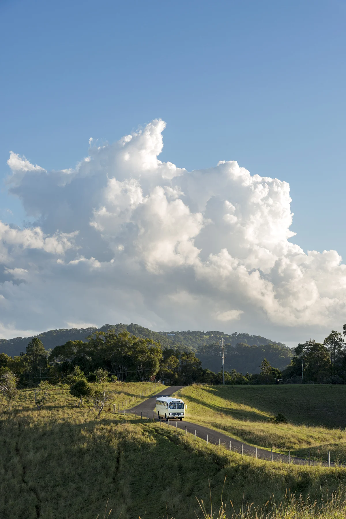 Van-Life-Gathering-Cudgen-75.jpg