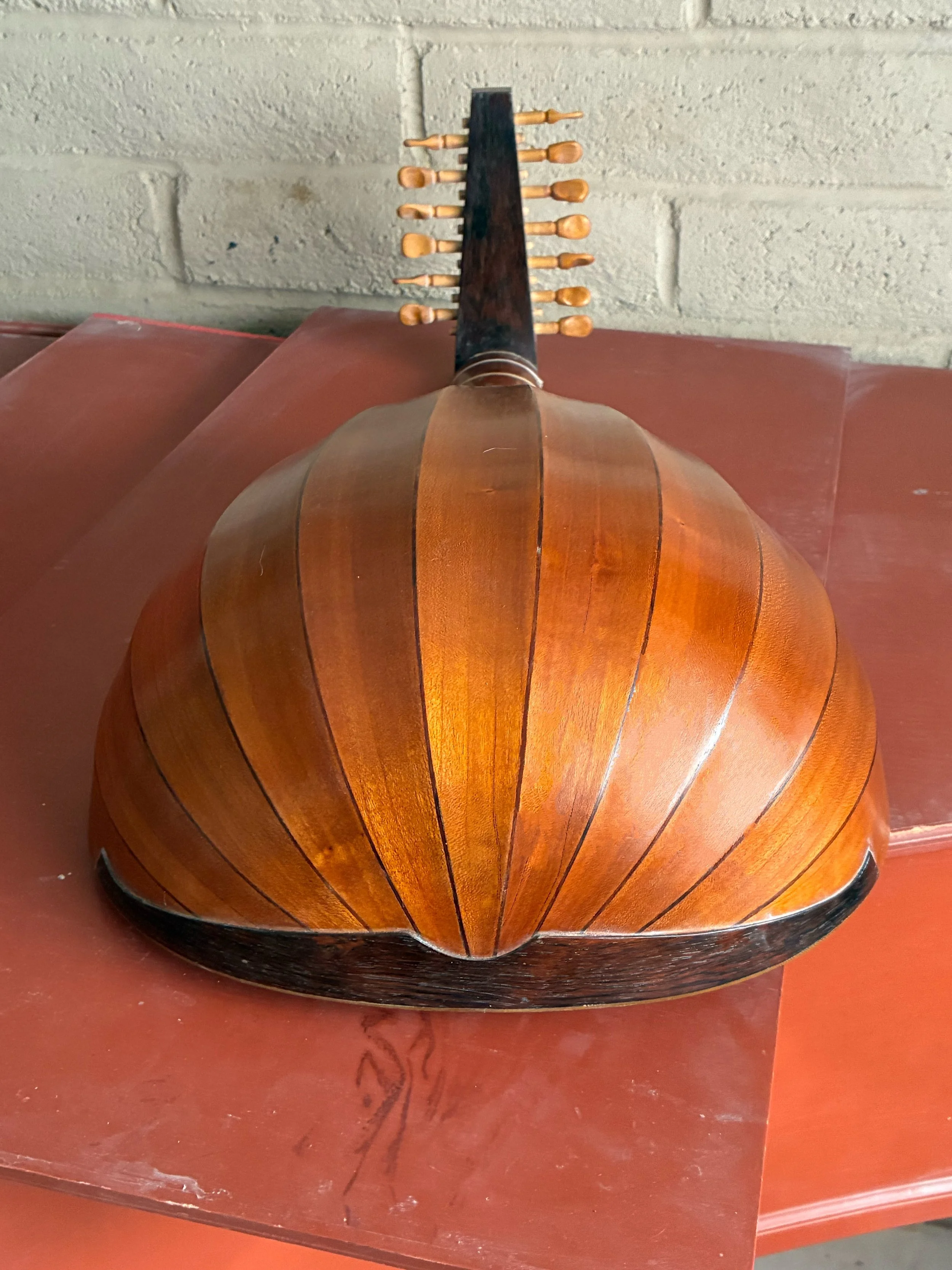 1971 James Bailey - lute back.jpg