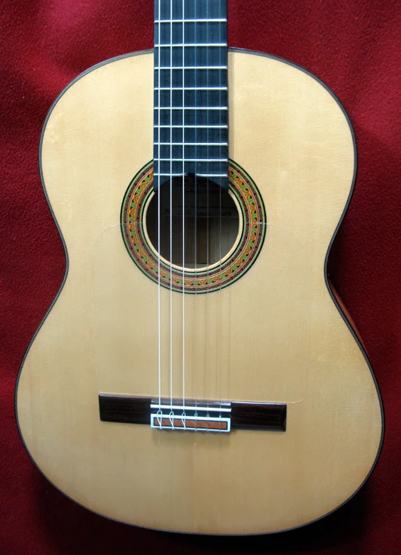 2013Sanchis-Barbero-A-ftx.jpg