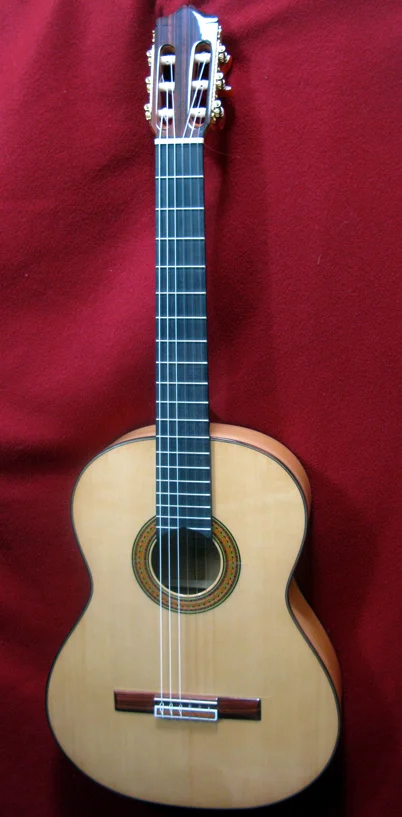 2013HSanchis-Barbero-B-ft.jpg