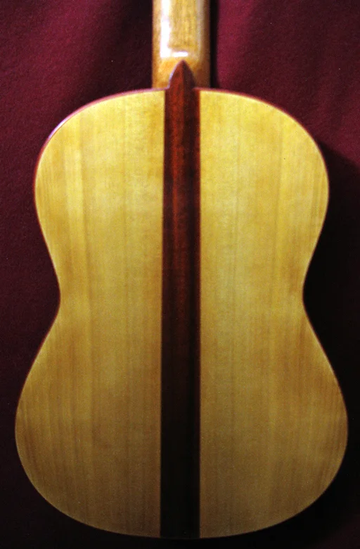 2013JesusBellidoEFL-bk.jpg