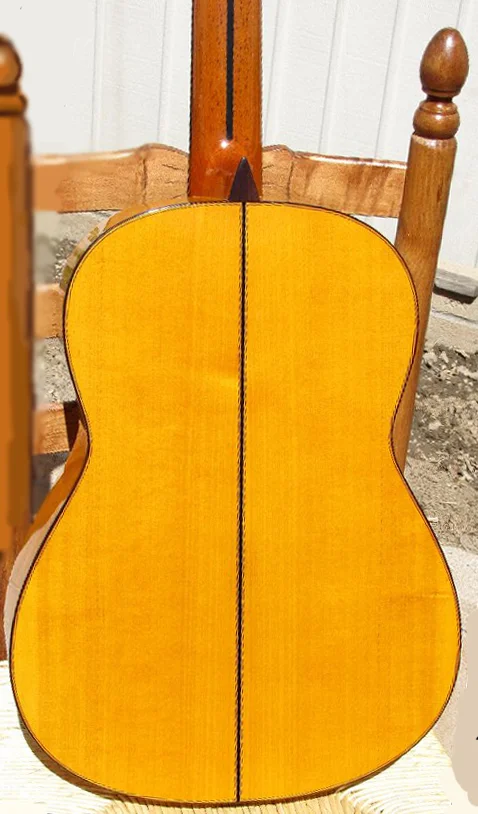 1993PMaldonadoFL-bkx.jpg