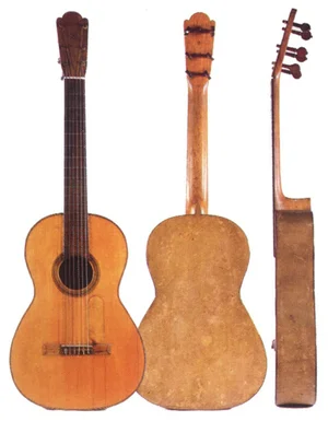 The Guitar and its woods.