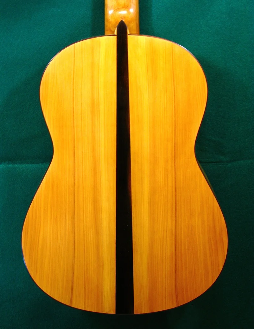 2009JBellidoFL-bk.jpg