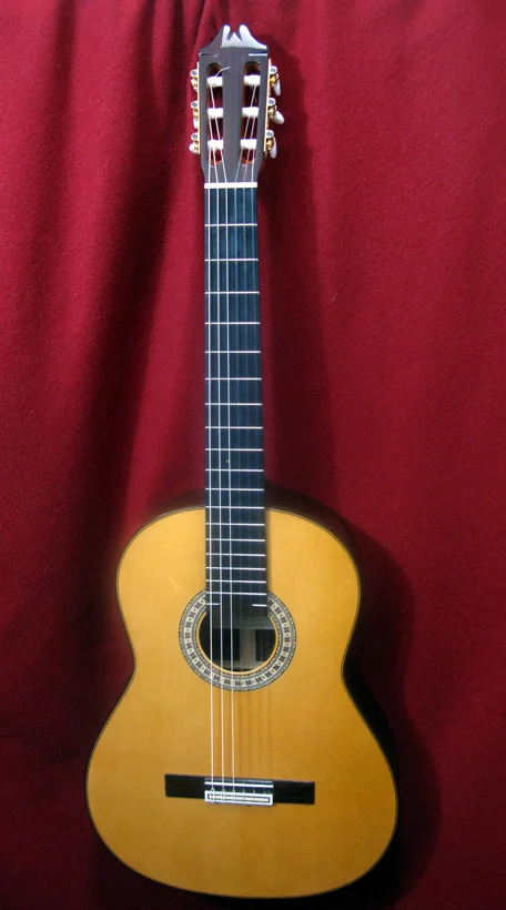 2012MAVFN-ft.jpg