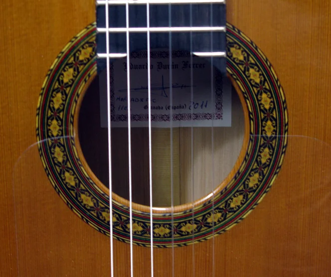 2011EFerrer-rz2.jpg
