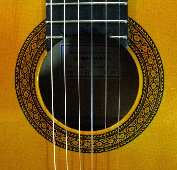 2009PedregosaFL2-rz1.jpg