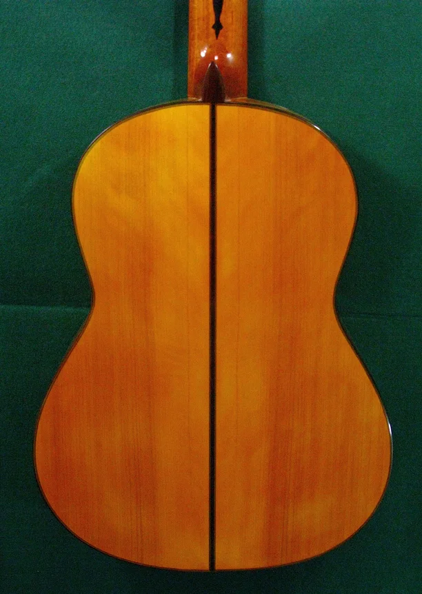 2009PedregosaFL2-bk1.jpg