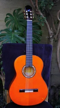 02RS1AEFTX.jpg