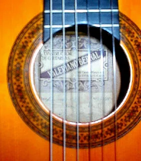 bernalrosette.jpg