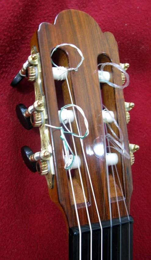 2015PB-Torres.jpg