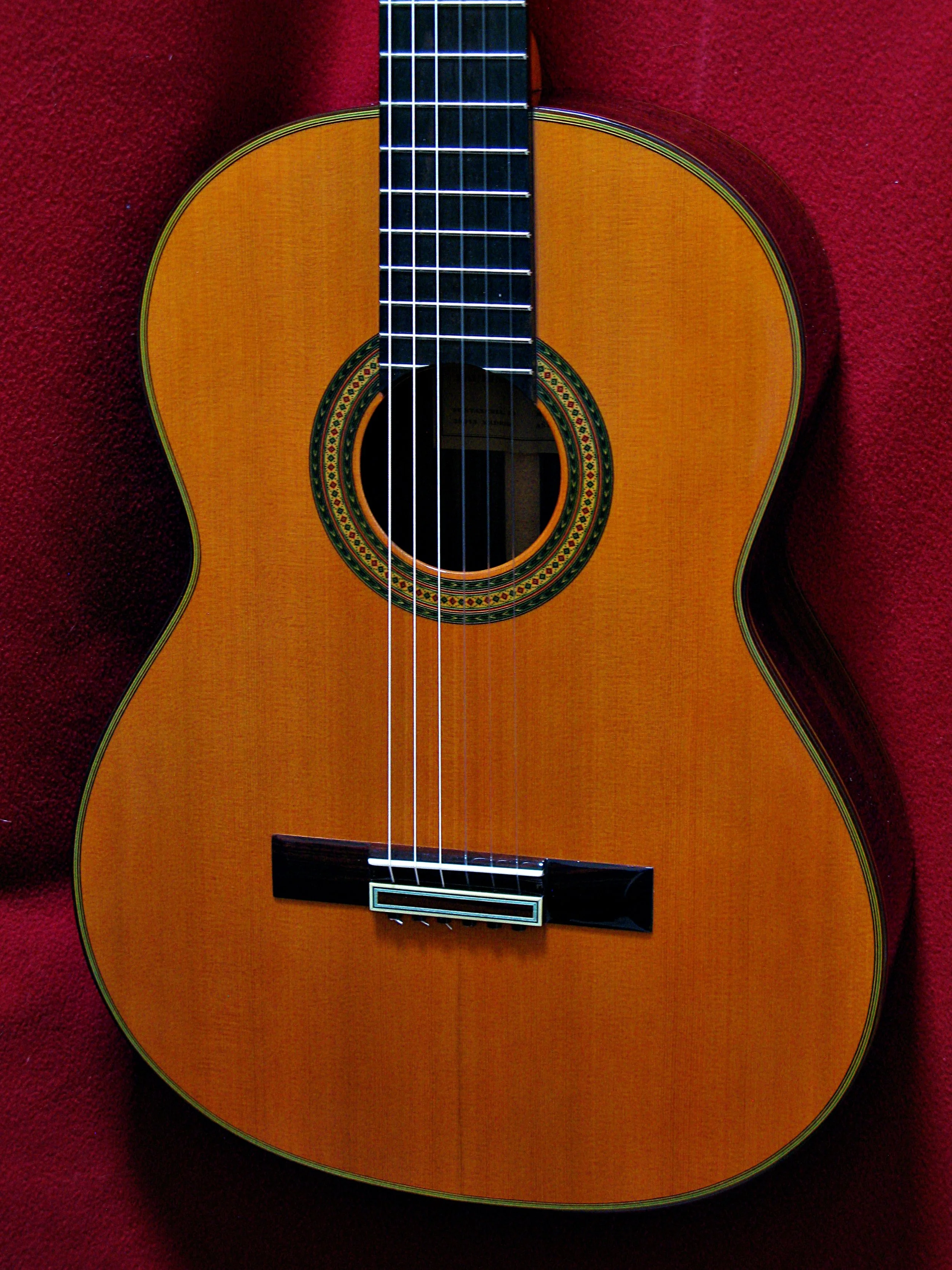 2016BernabeM5C-ftx.jpg