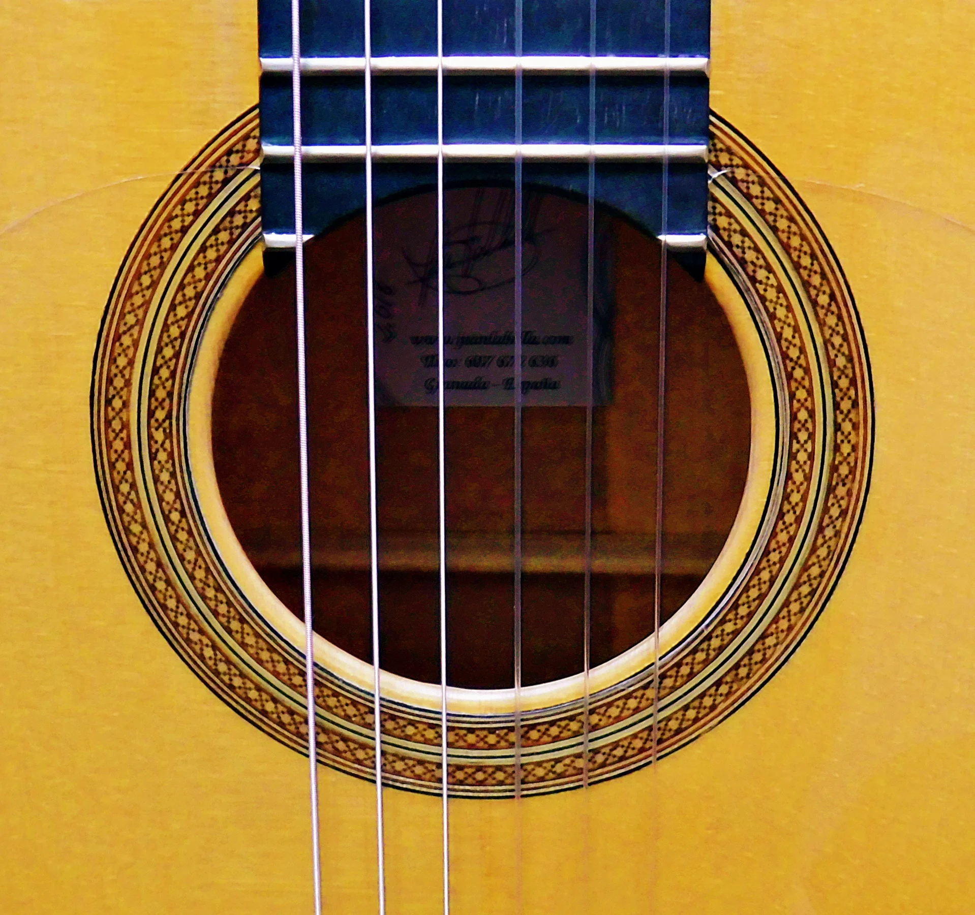 2018Labella-flamenca-rosette.jpg