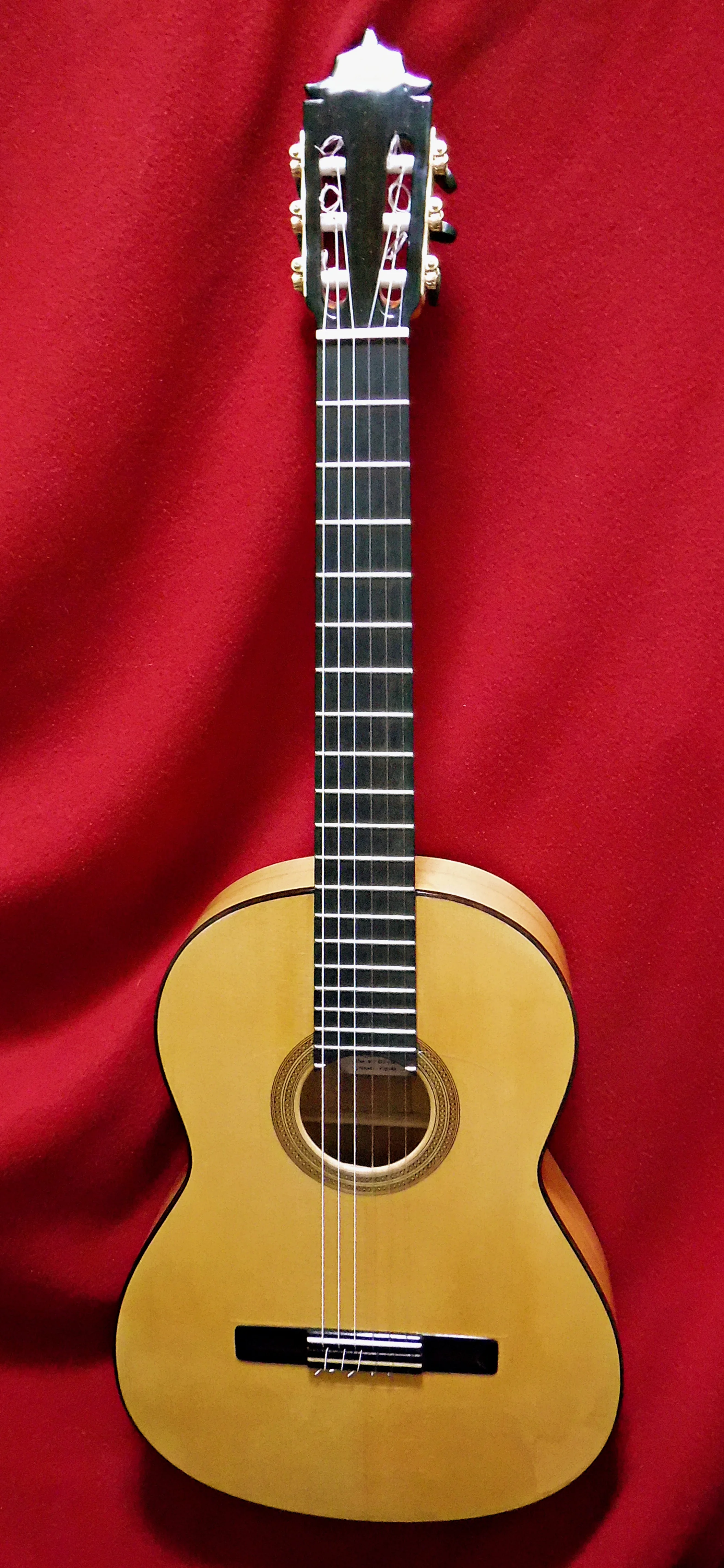 2018Labella-flamenca-front.jpg