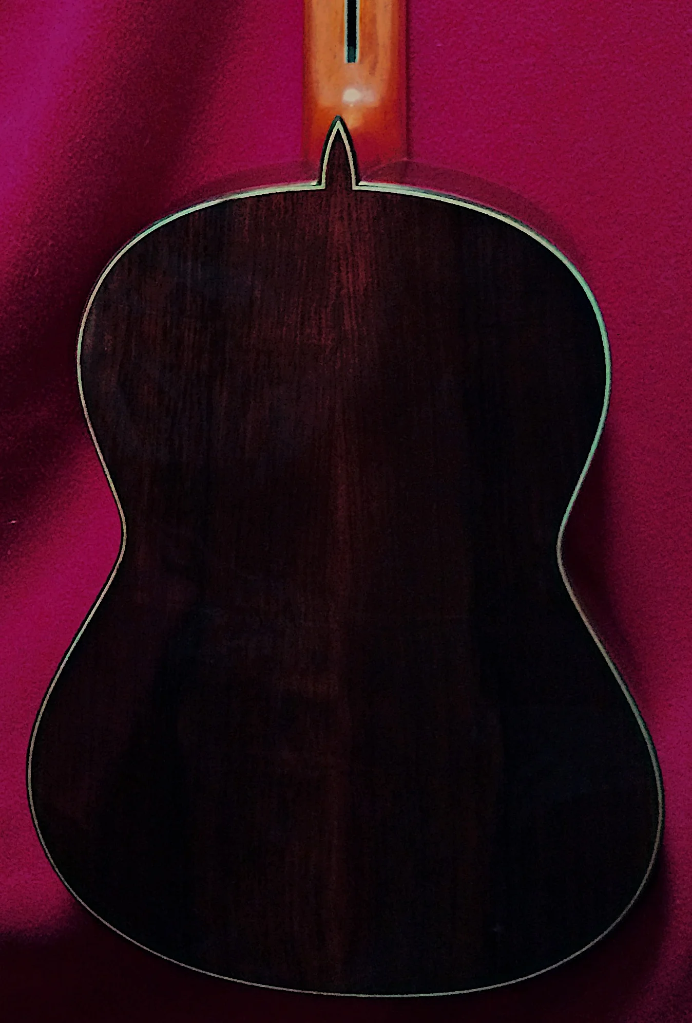 2018 Paulino Bernabe model 50 Concert Classical Guitar, back
