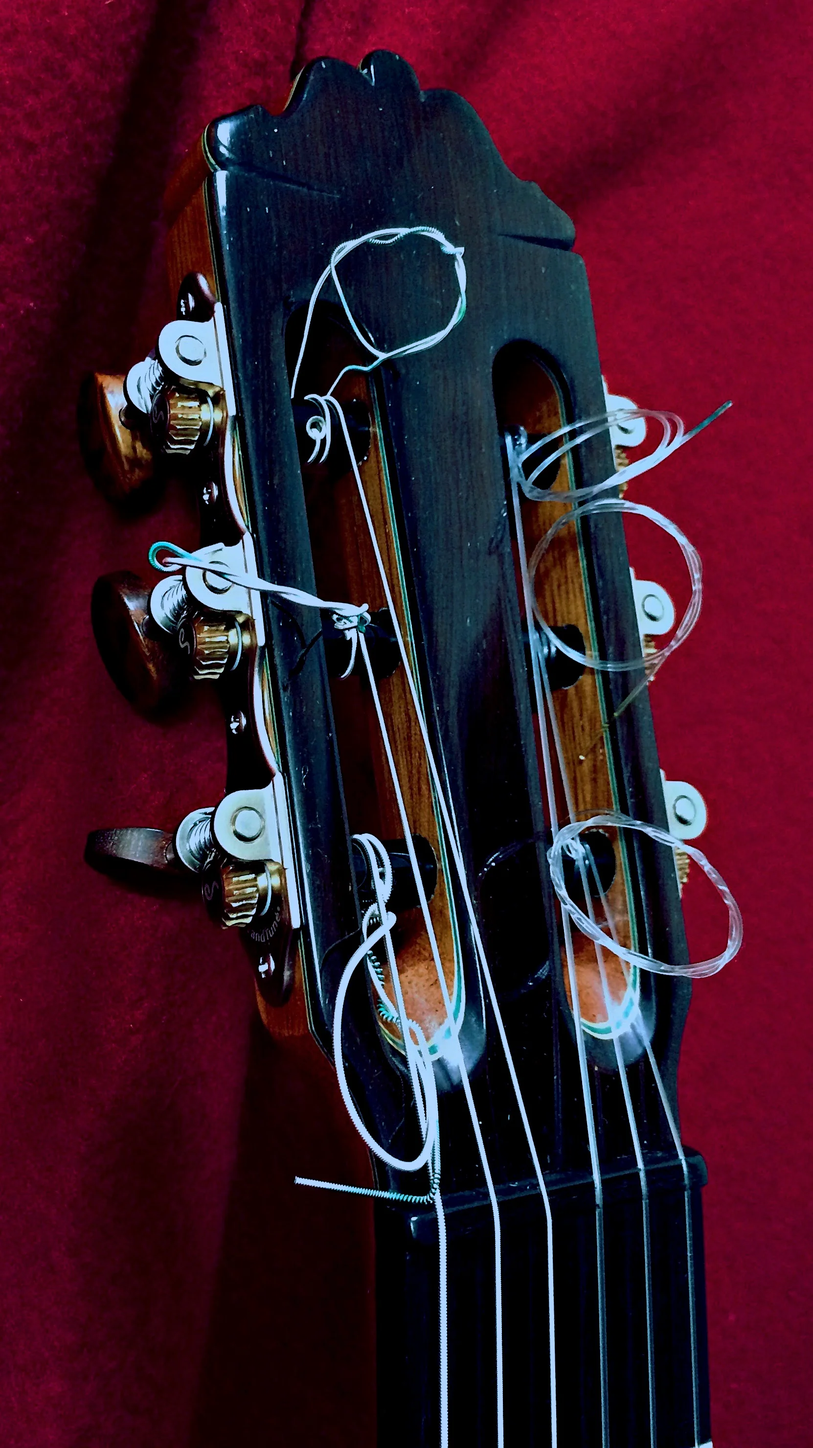 2018 Paulino Bernabe model 50 Concert Classical Guitar, headstock