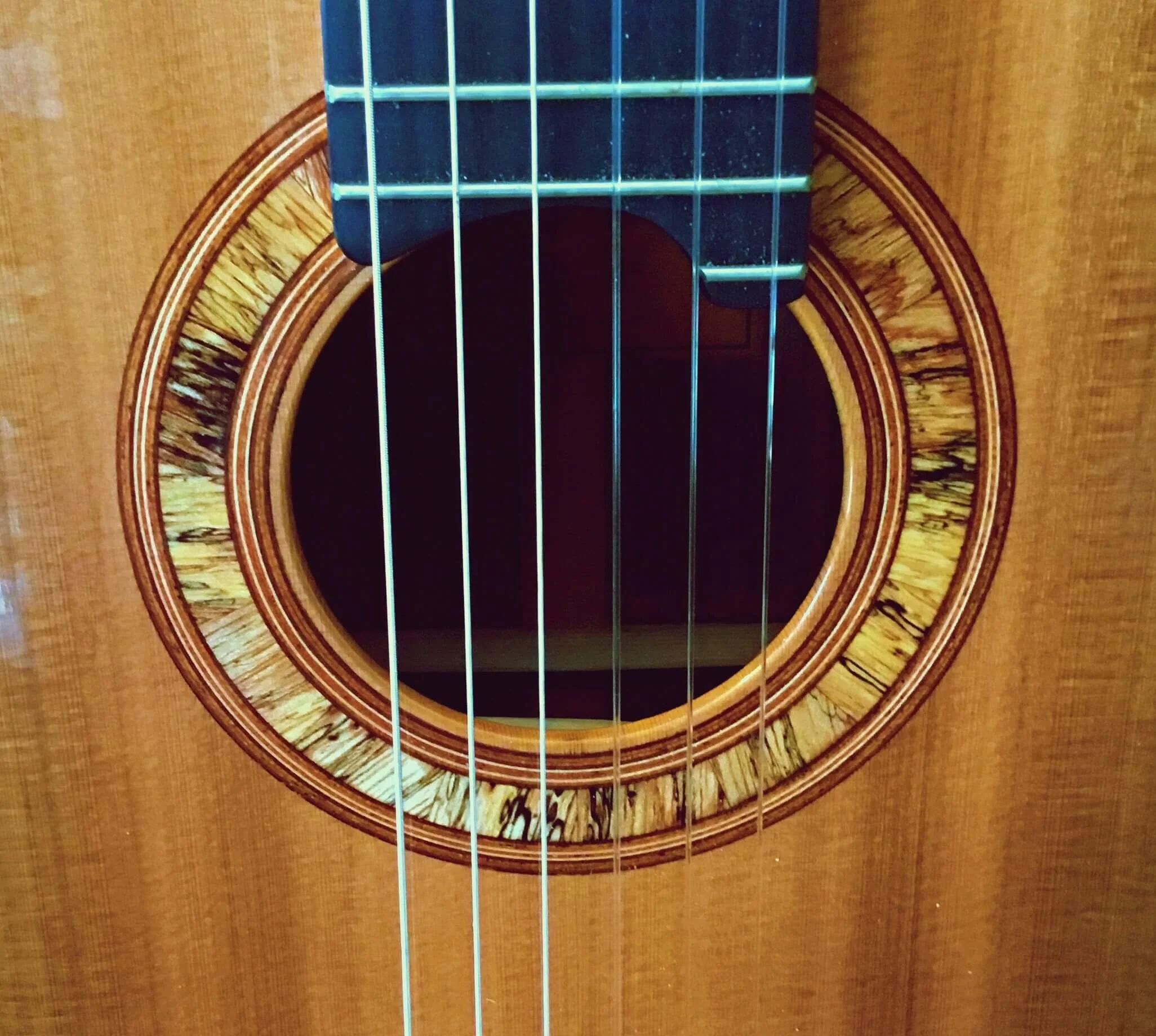 2013 Jeremy Cooper, rosette