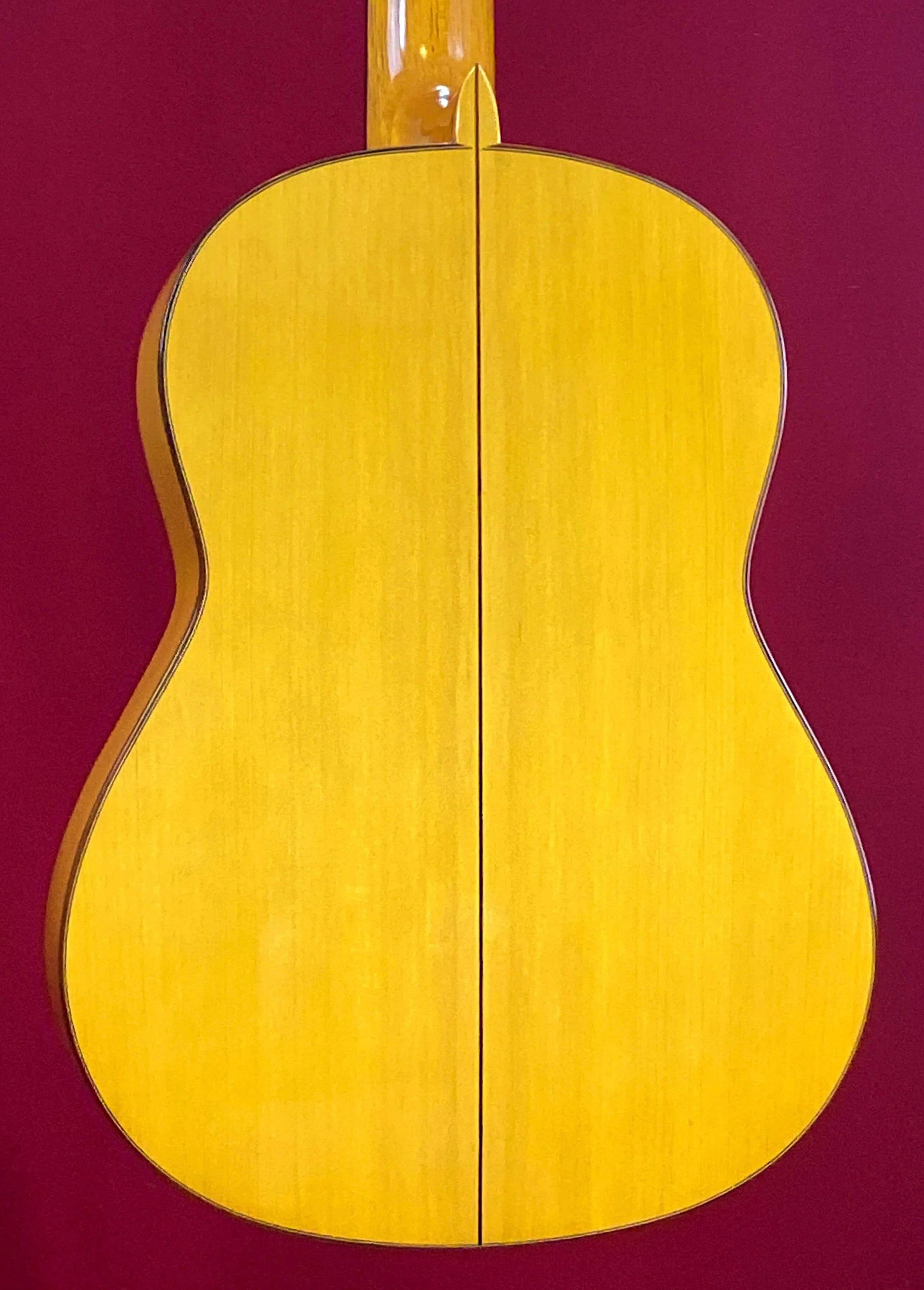 2019 Juan Hernandez Model Sevillanas