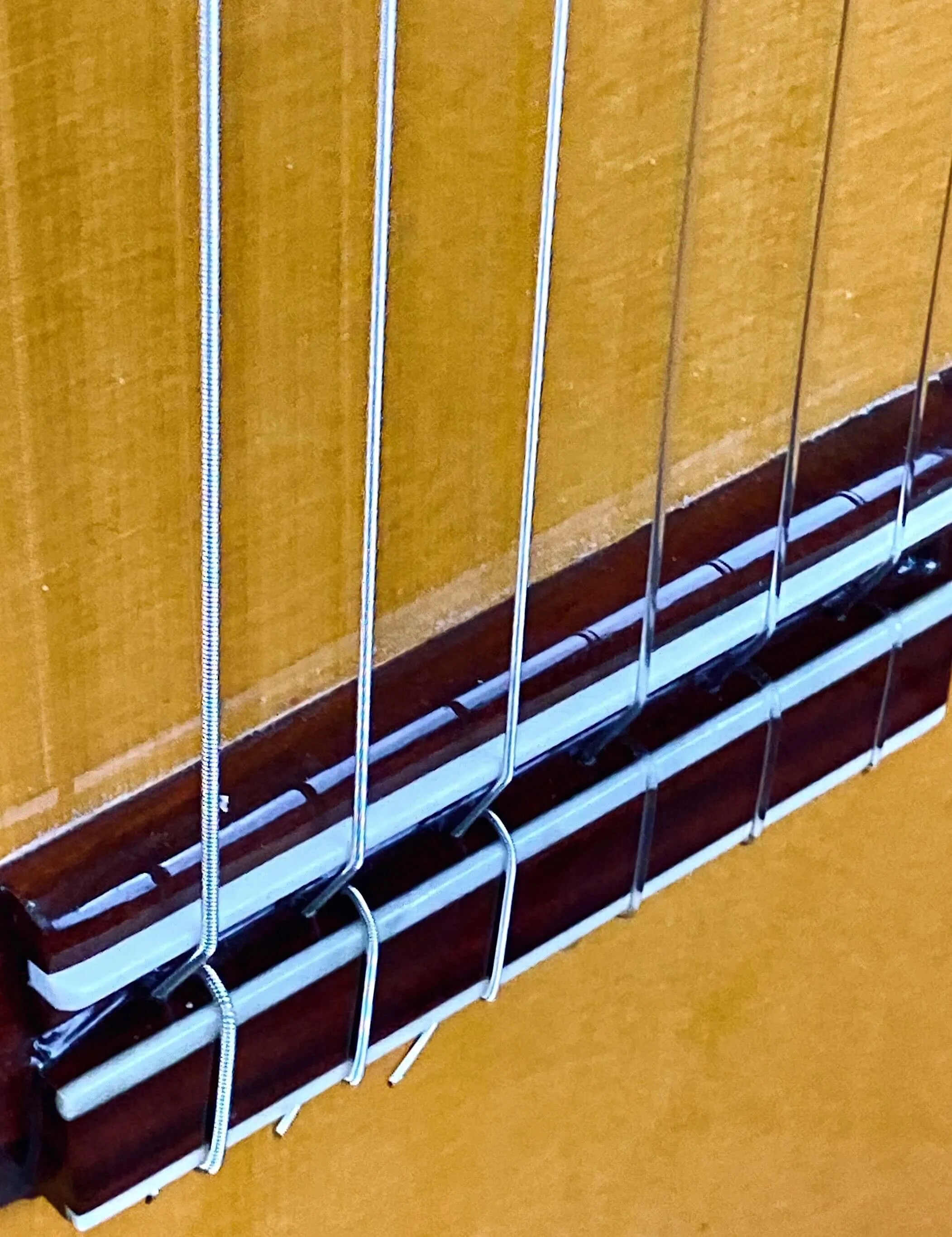 2019 Juan Hernandez Model Sevillanas