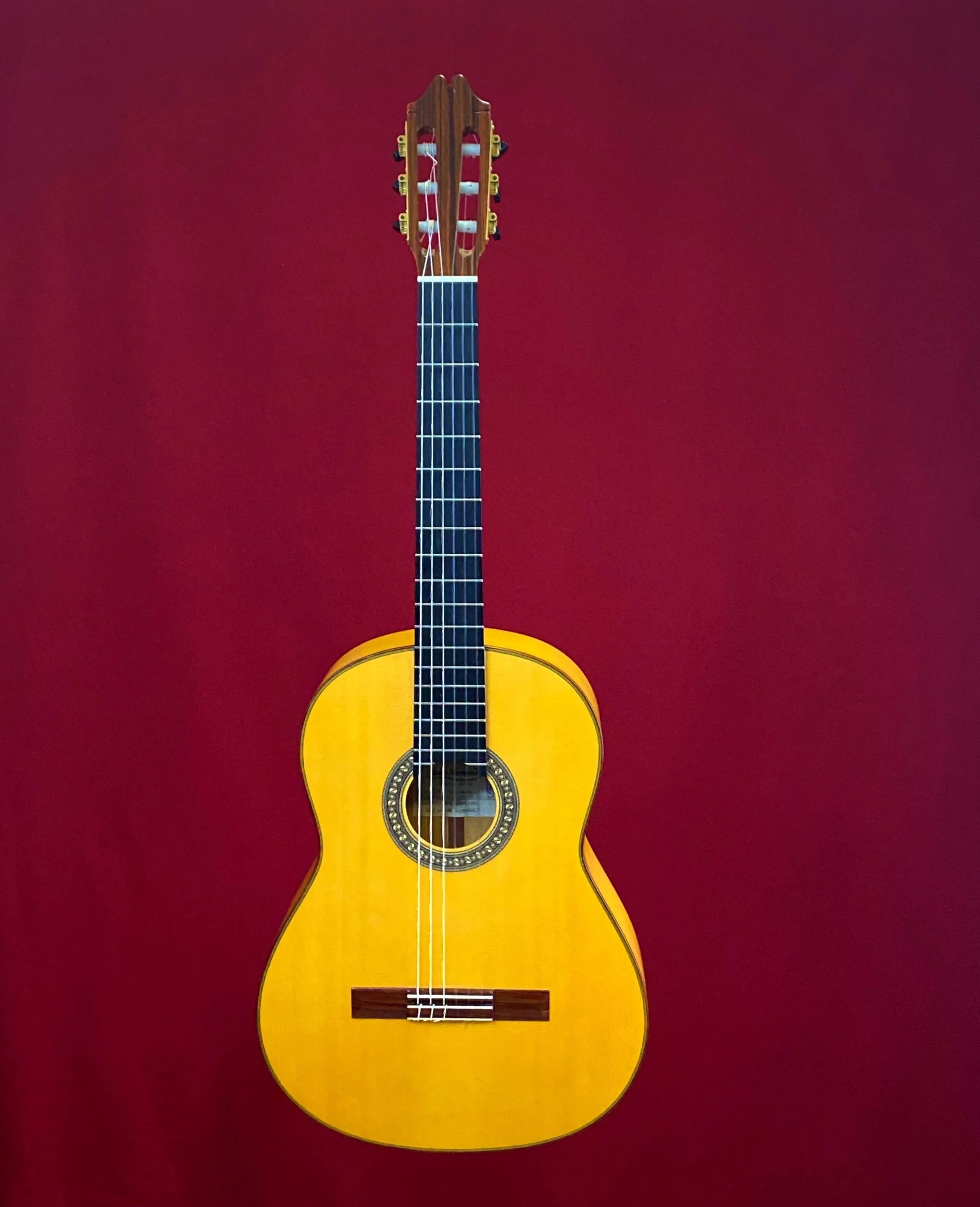 2019 Juan Hernandez Model Sevillanas
