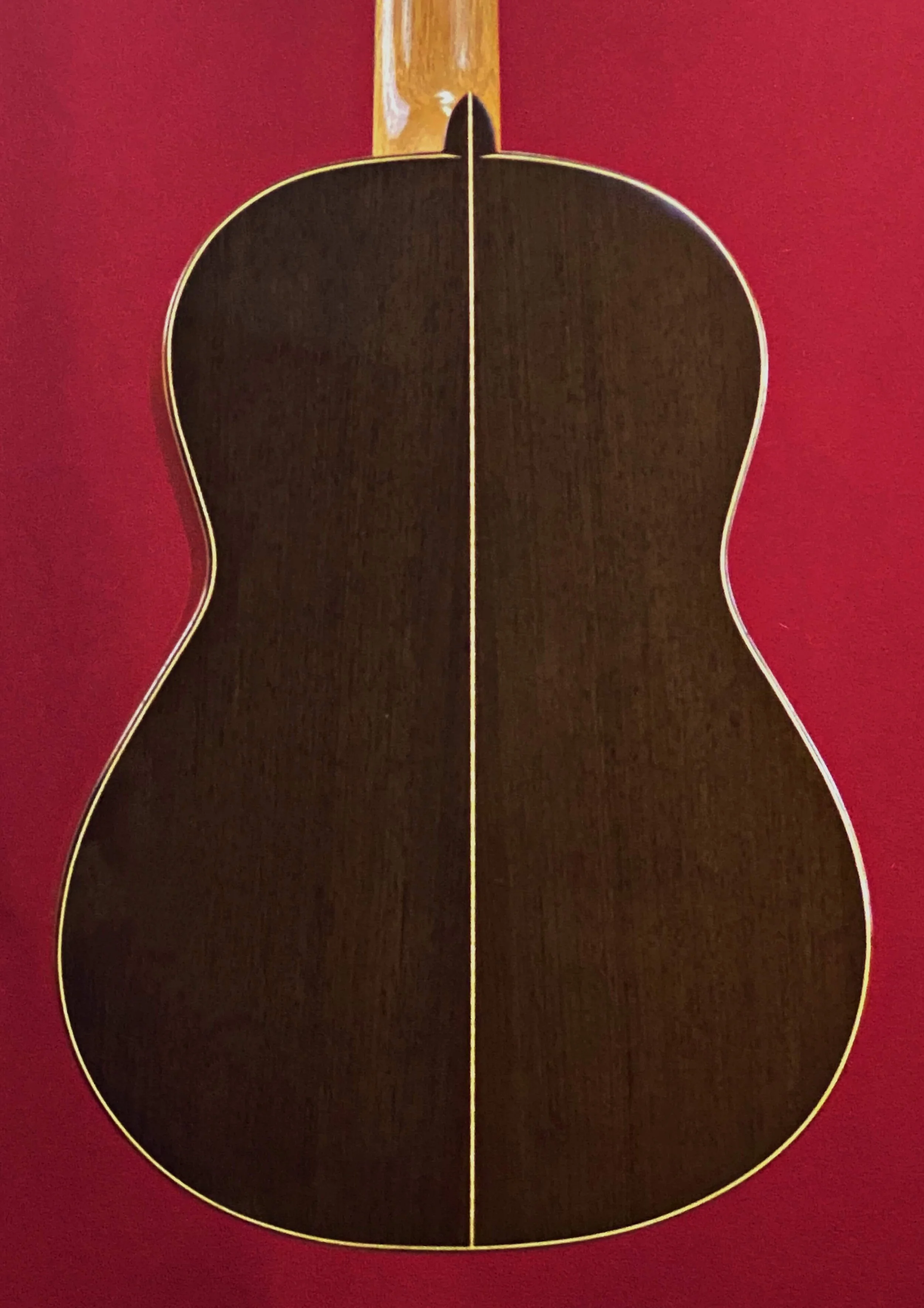 2017 Antonio Raya Pardo Concert Classical Guitar