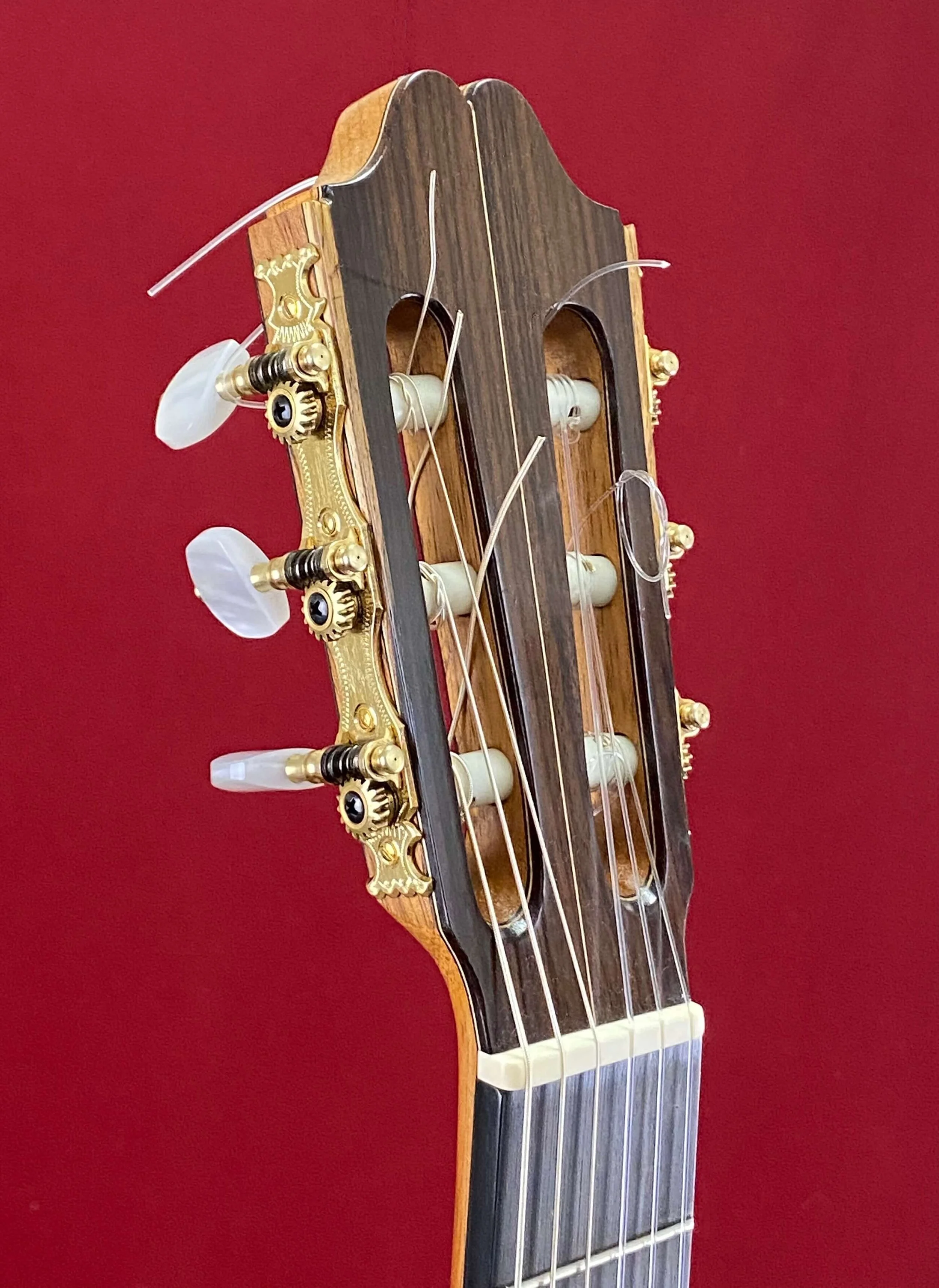 2017 Antonio Raya Pardo Concert Classical Guitar