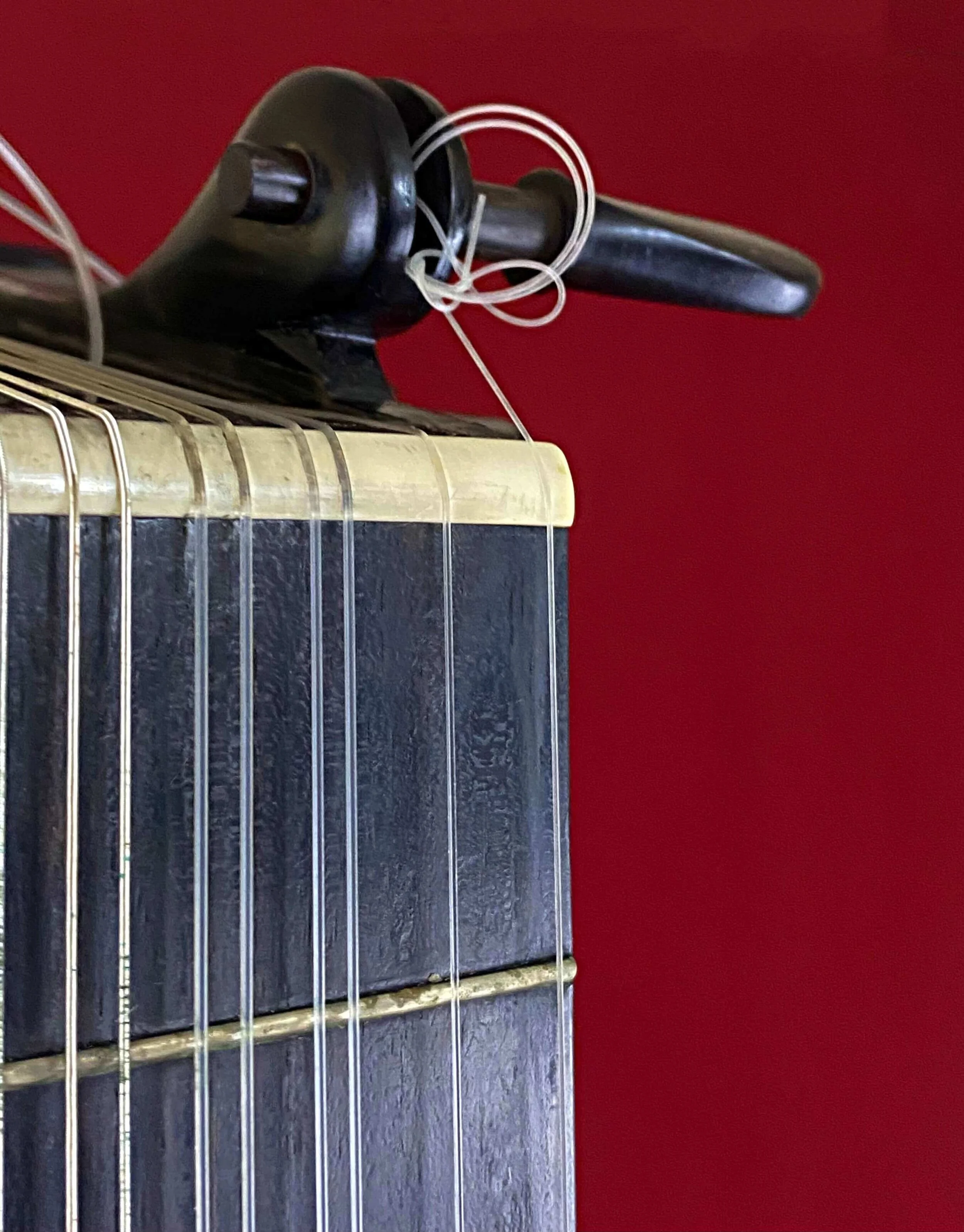 1967 Jose Rubio 8-course lute (Ex-Julian Bream) peg