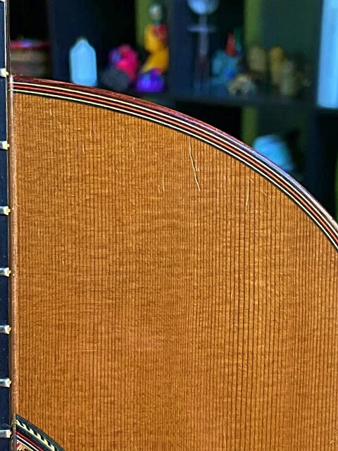 2007 German Vasquez Rubio Flamenco Negra