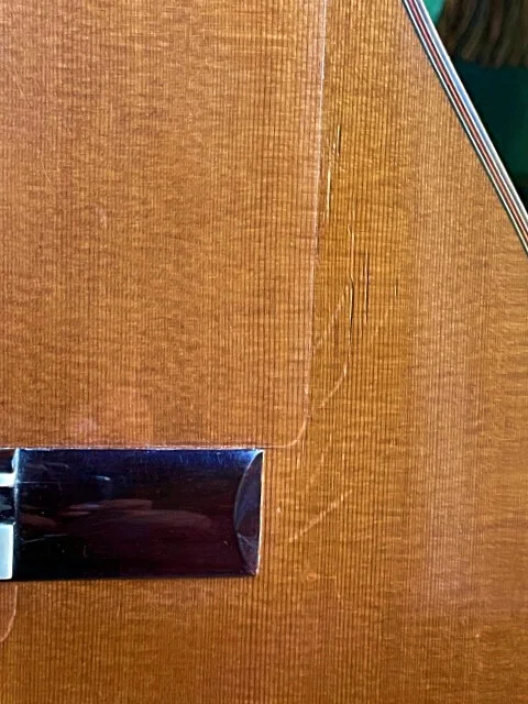 2007 German Vasquez Rubio Flamenco Negra