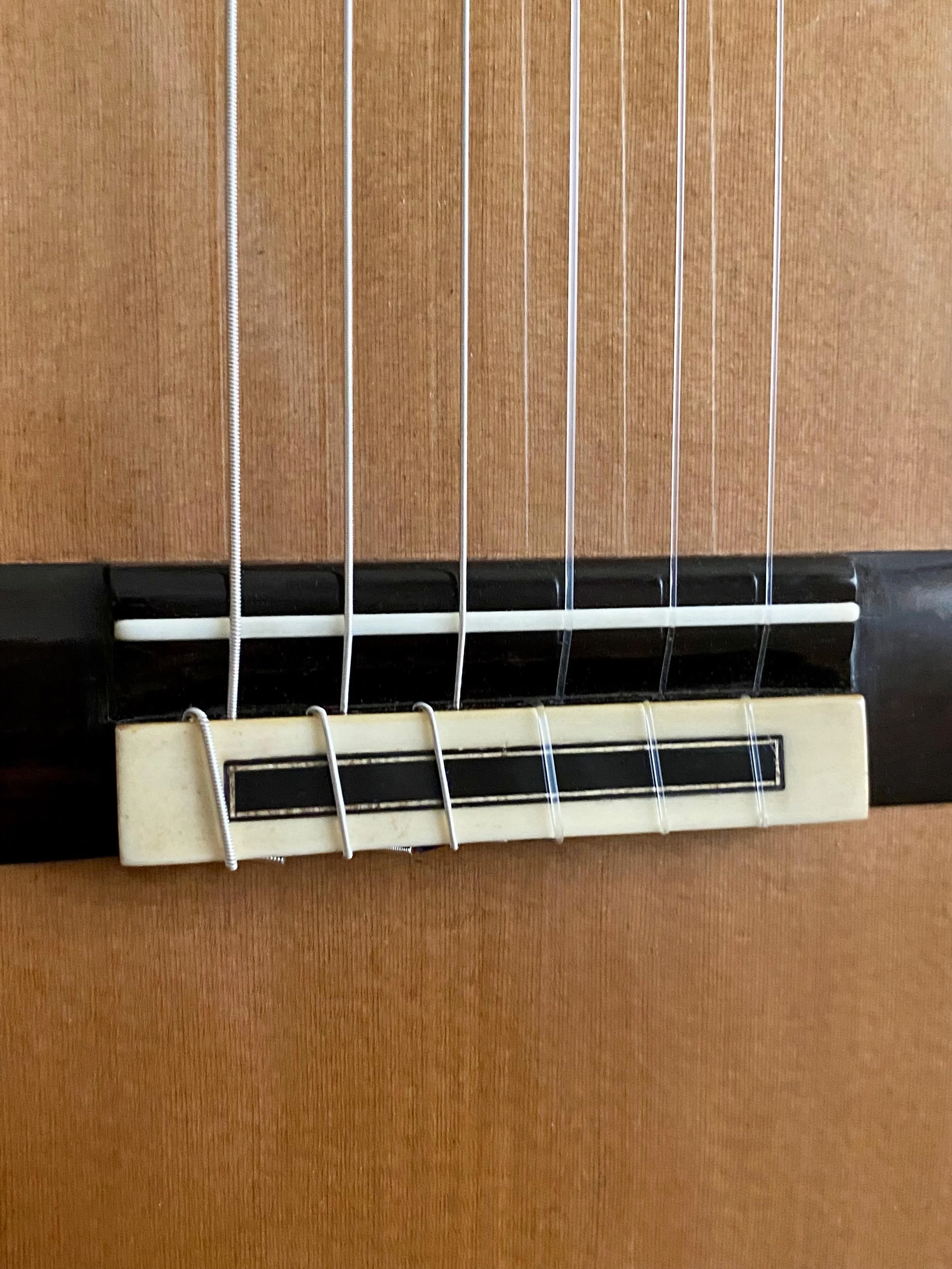 2021 Juan Miguel Gonzalez Concert Classical Guitar