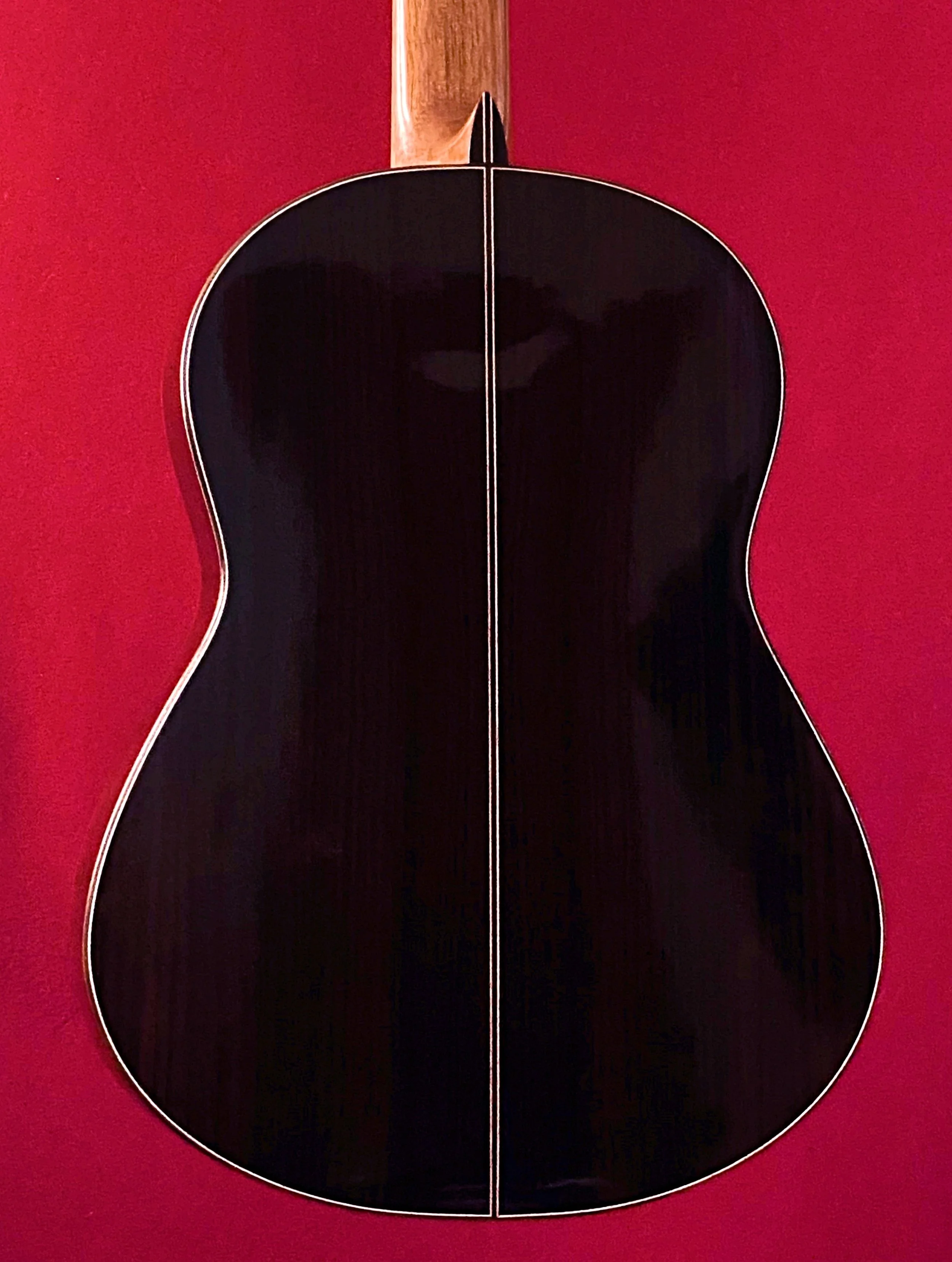 2021 Juan Miguel Gonzalez Concert Classical Guitar