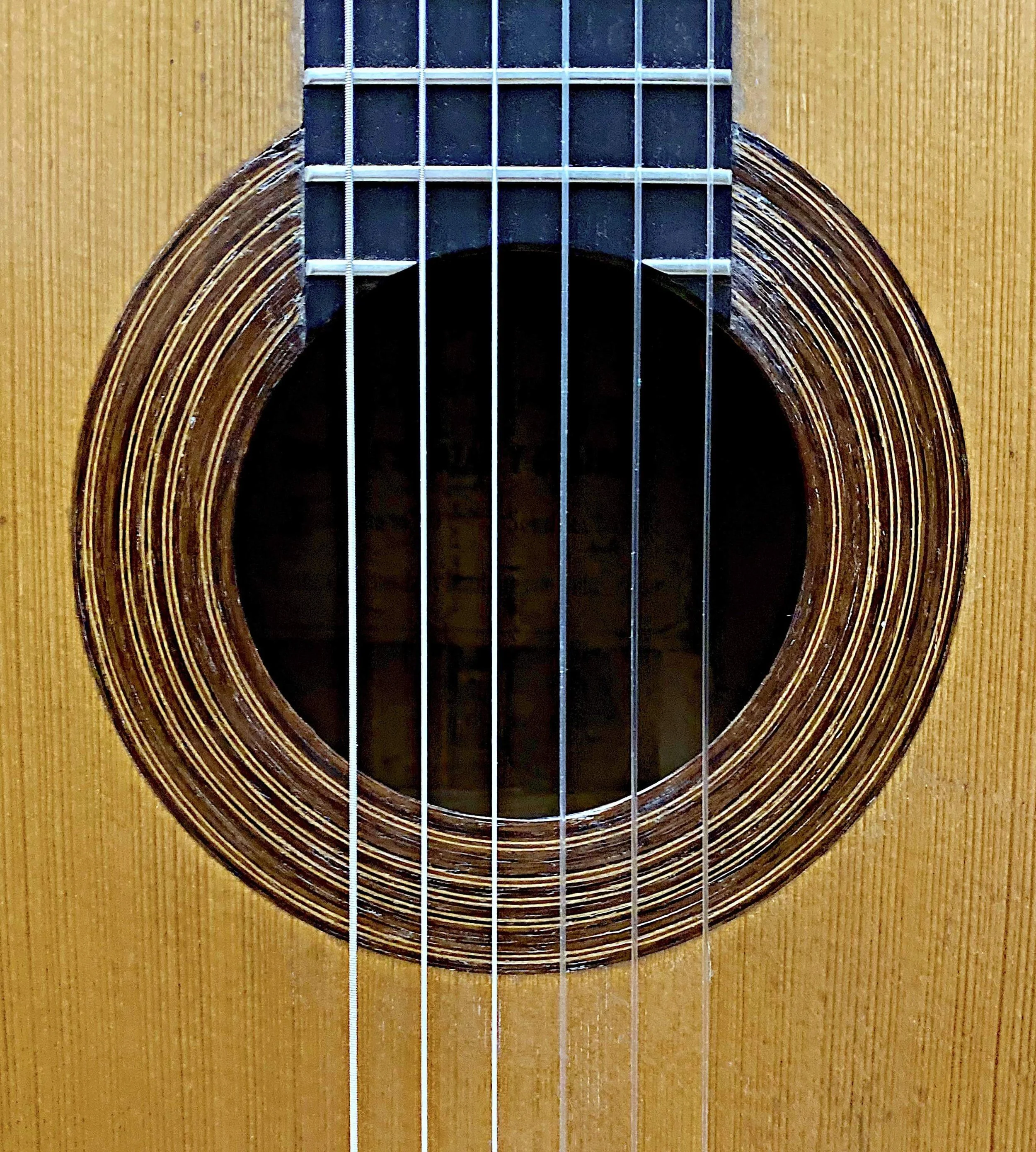 1878 Rafael Salazar y Grajales guitar