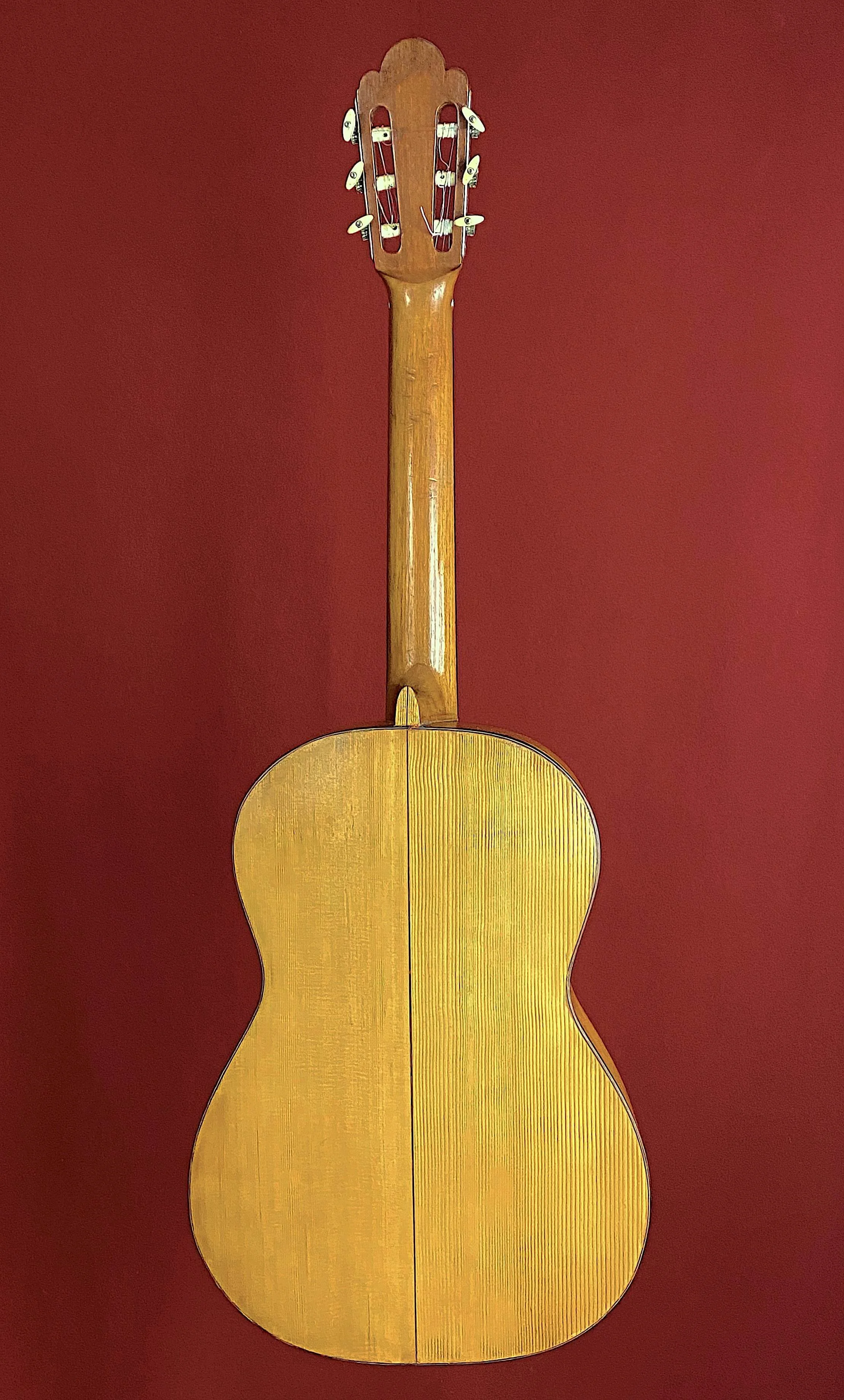 1878 Rafael Salazar y Grajales guitar
