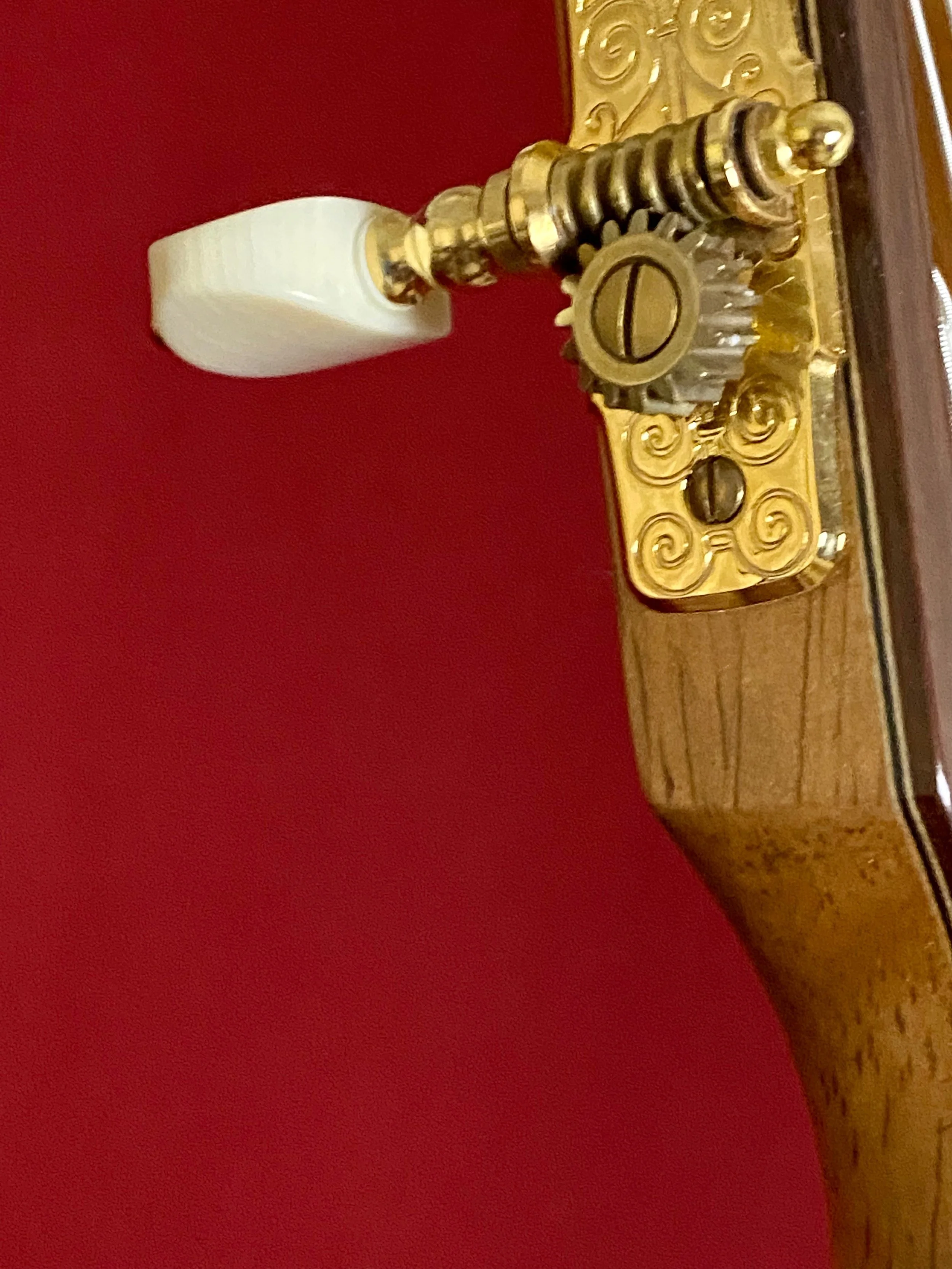 2022 Casimiro Lozano, double top, classical guitar