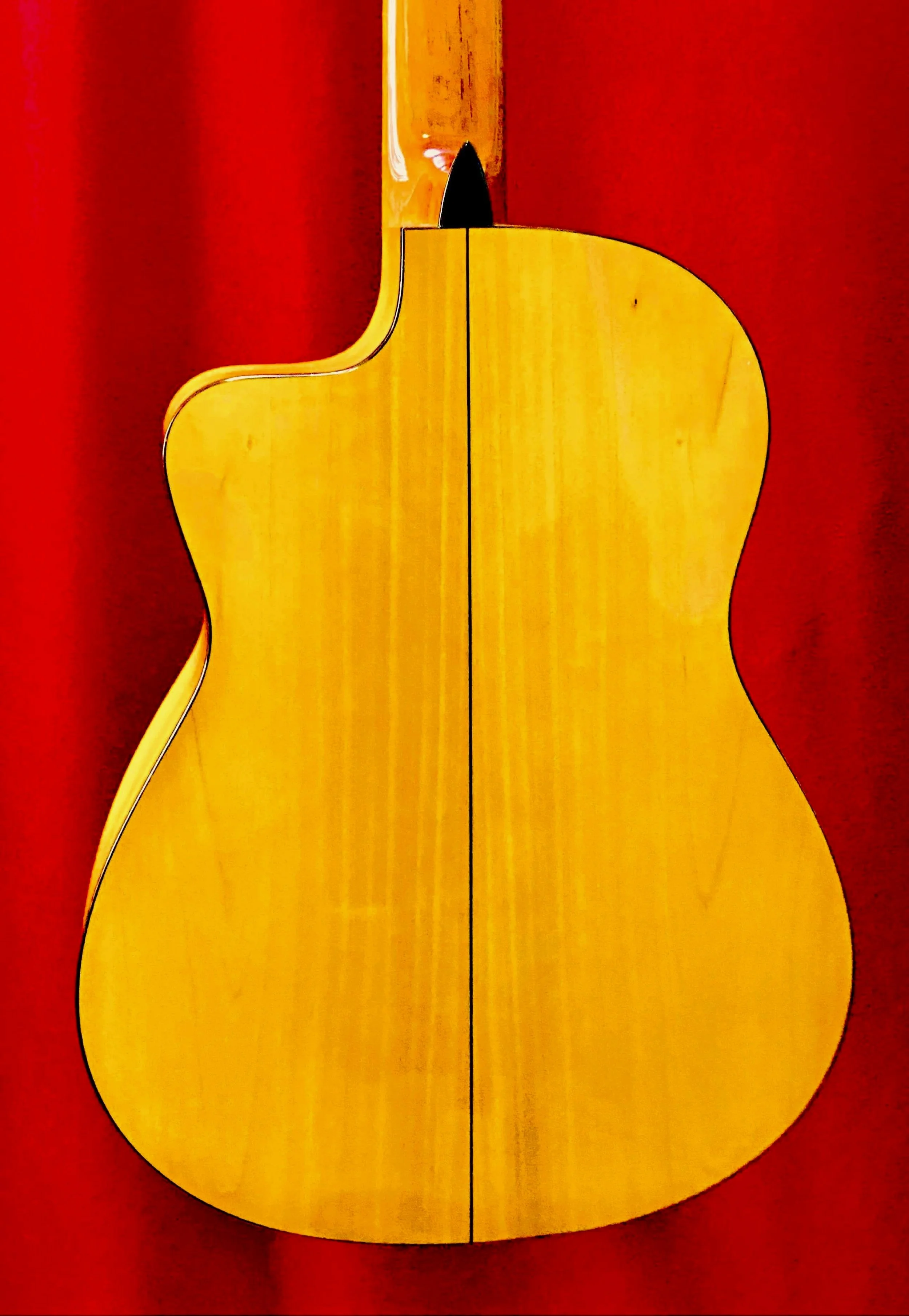 2022 Pedro Maldonado, Andalucia Flamenco cutaway guitar