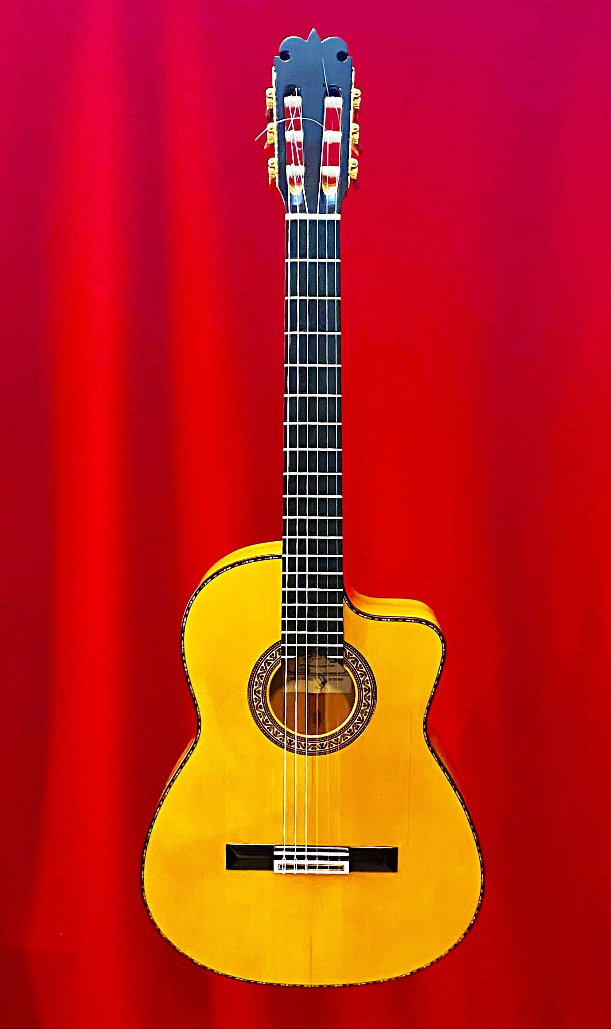 2022 Pedro Maldonado, Andalucia Flamenco cutaway guitar