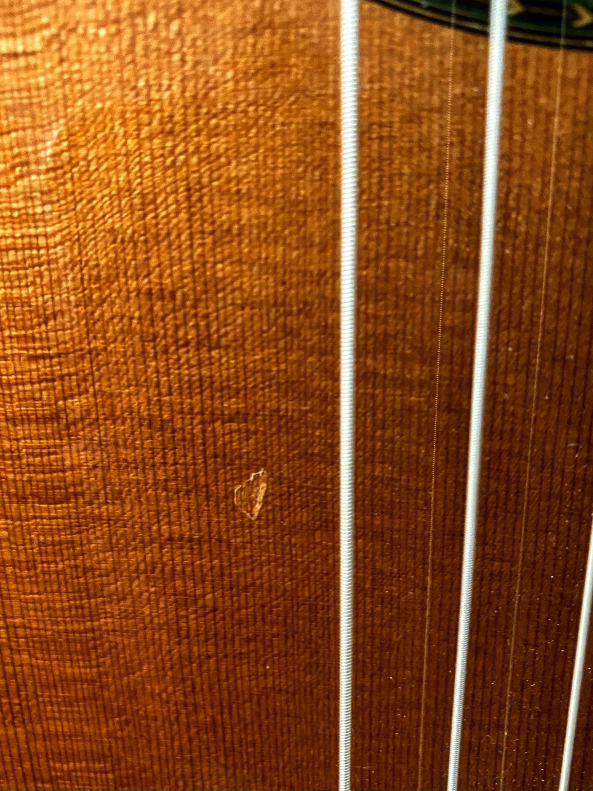 2020 Paulino Bernabe M-15 Classical Guitar