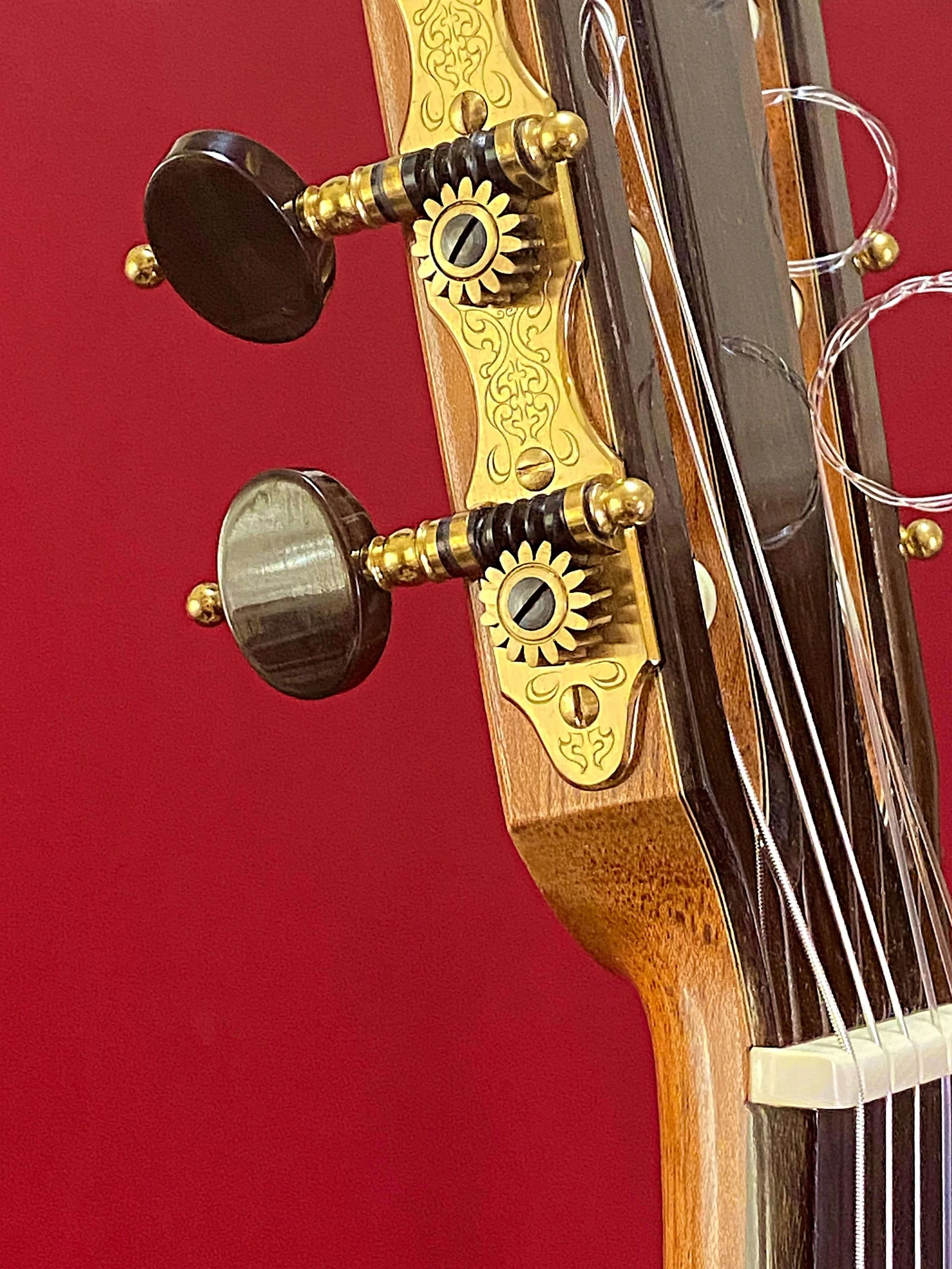 2005 Dominique Field Concert Classical Guitar