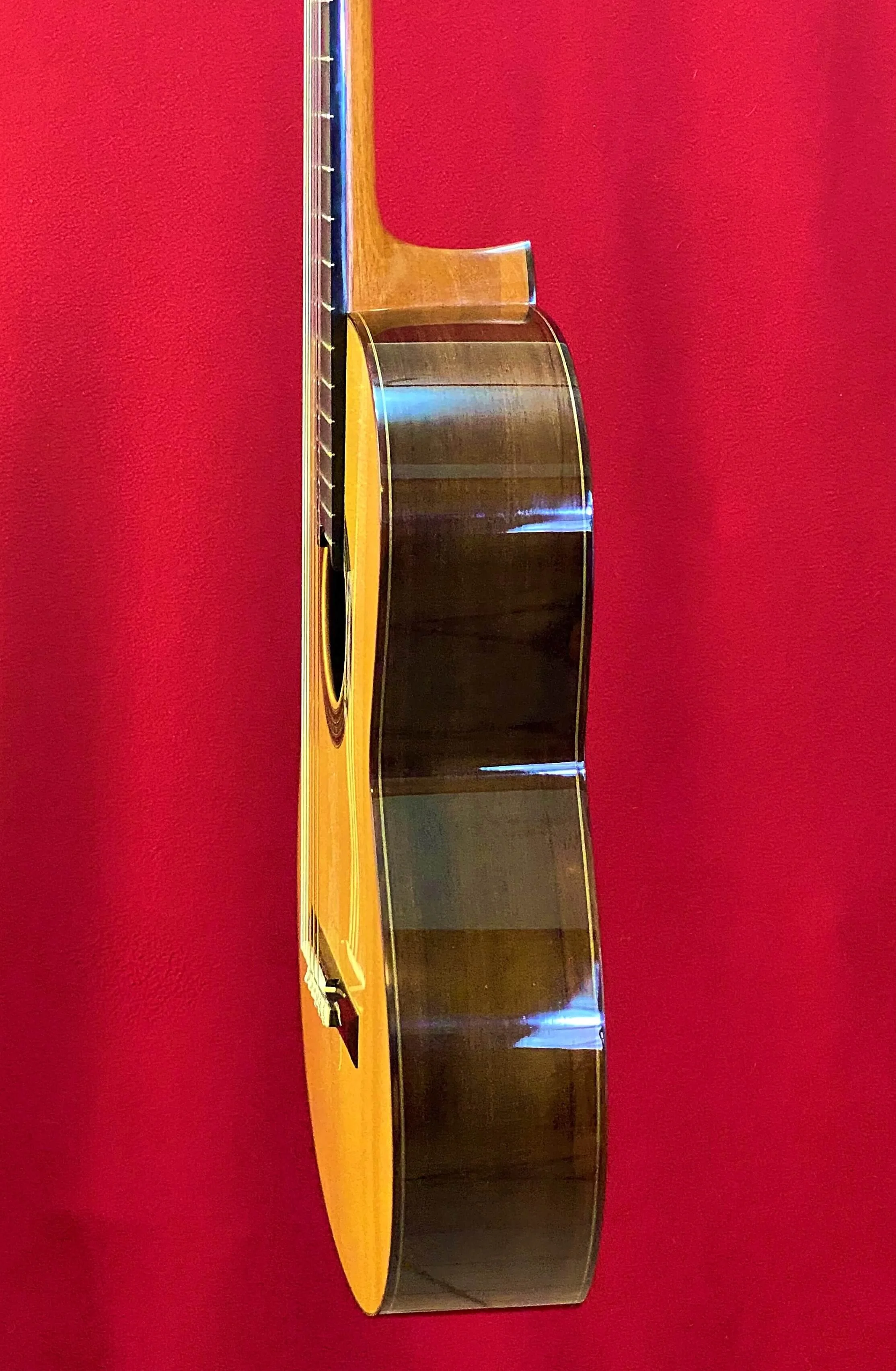 2005 Dominique Field Concert Classical Guitar