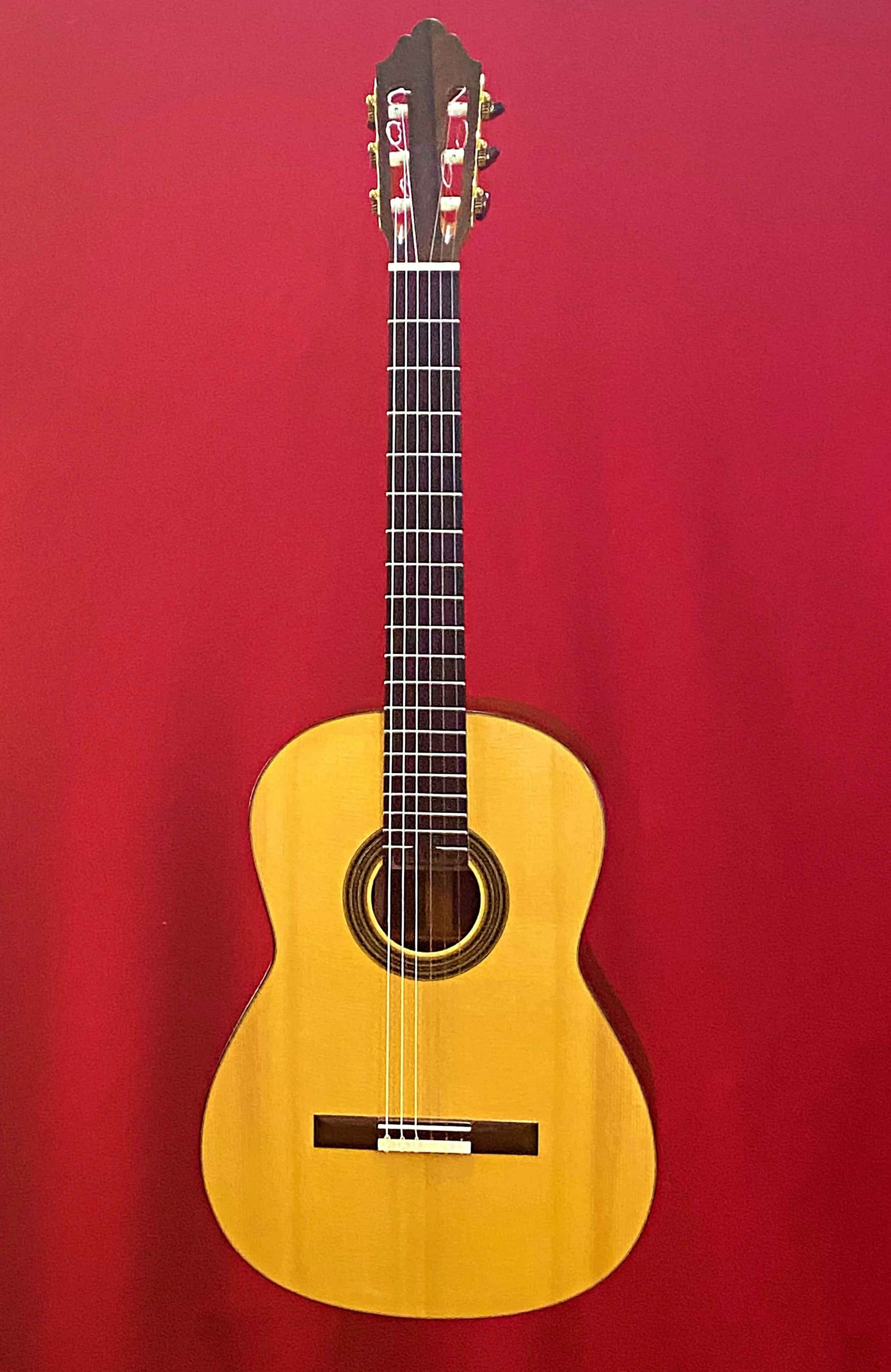 2005 Dominique Field Concert Classical Guitar