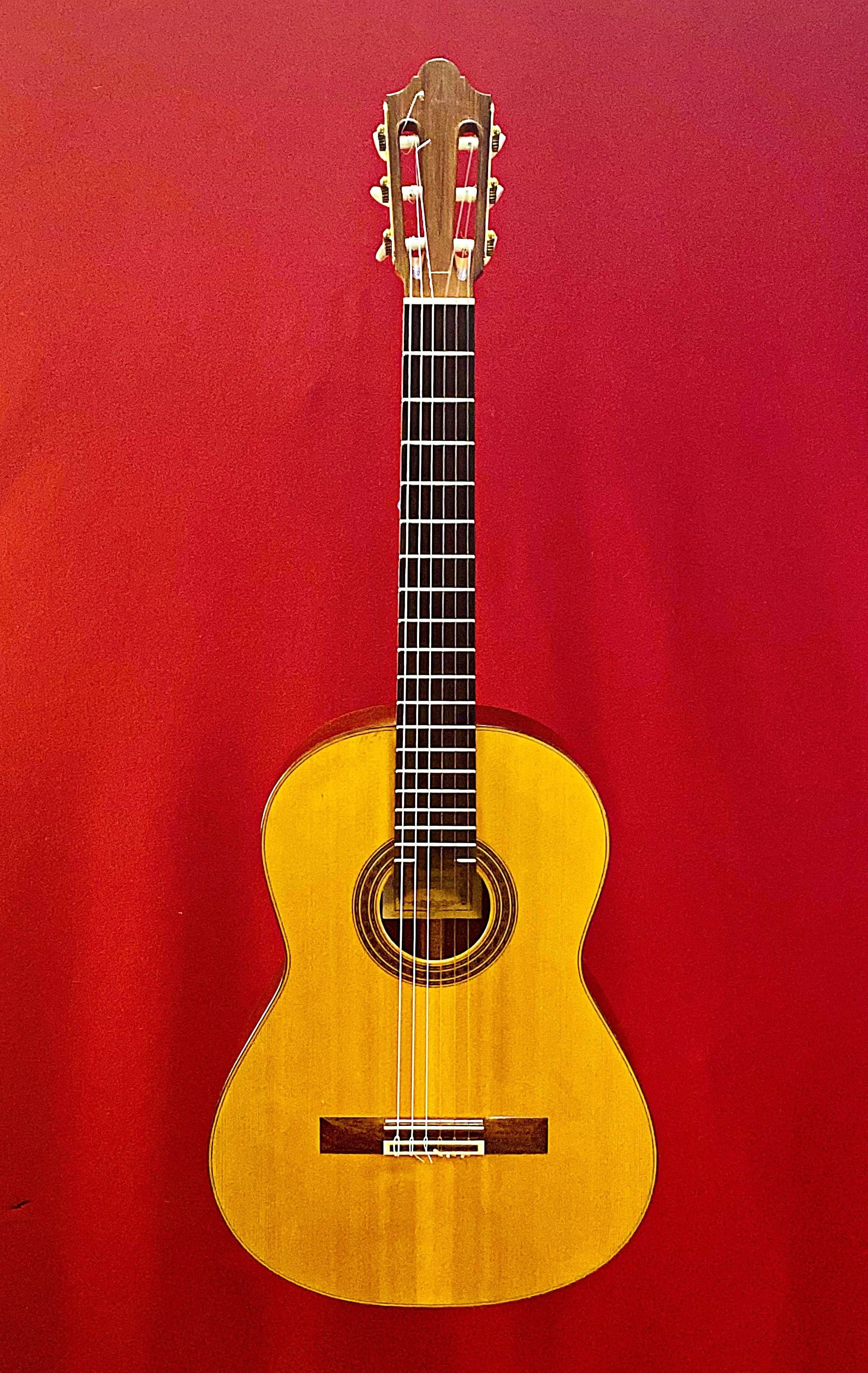 1970 Daniel Friederich Concert Classical Guitar