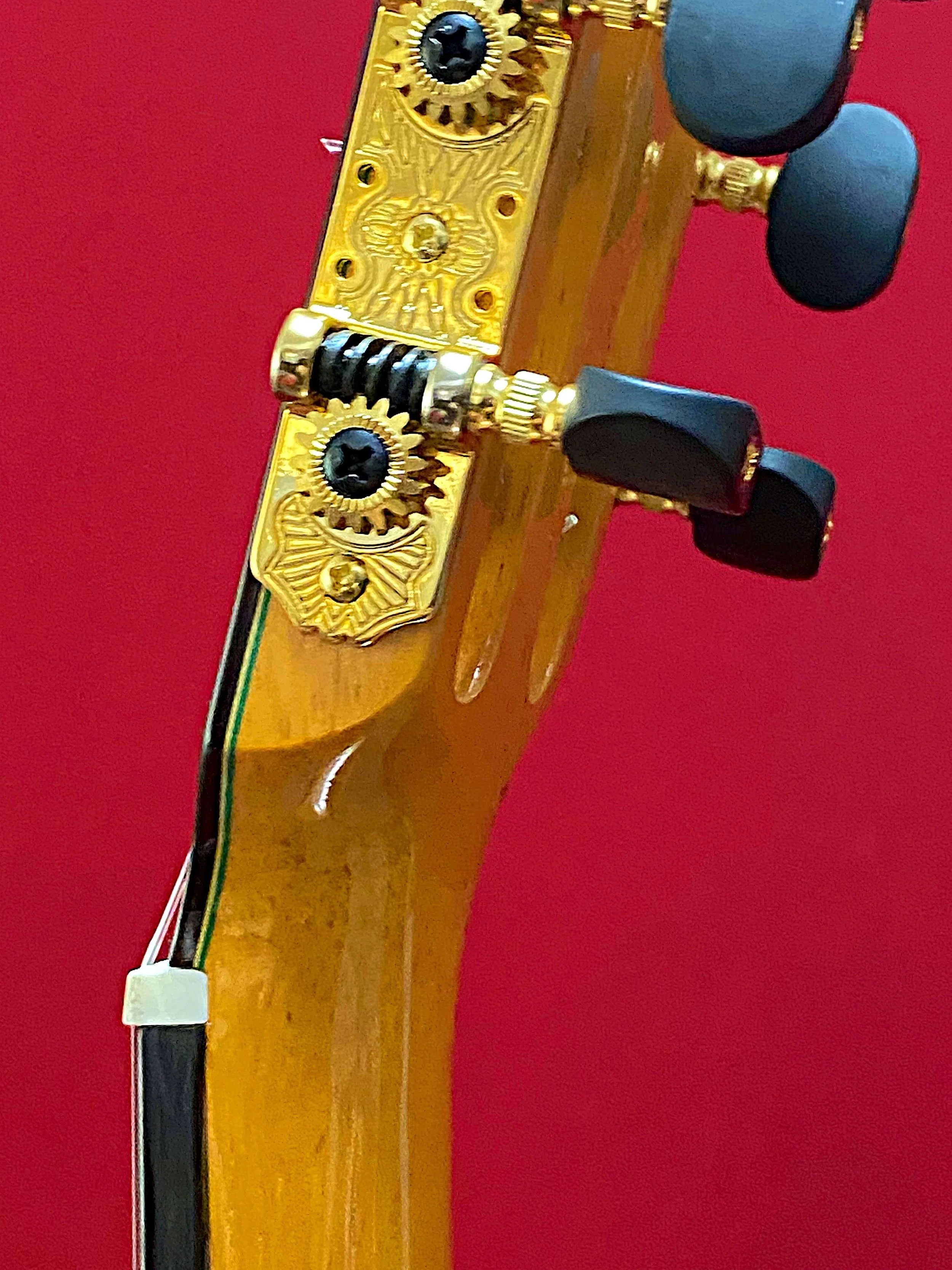 2023 Juan Hernandez-Vivivan-grs.jpeg