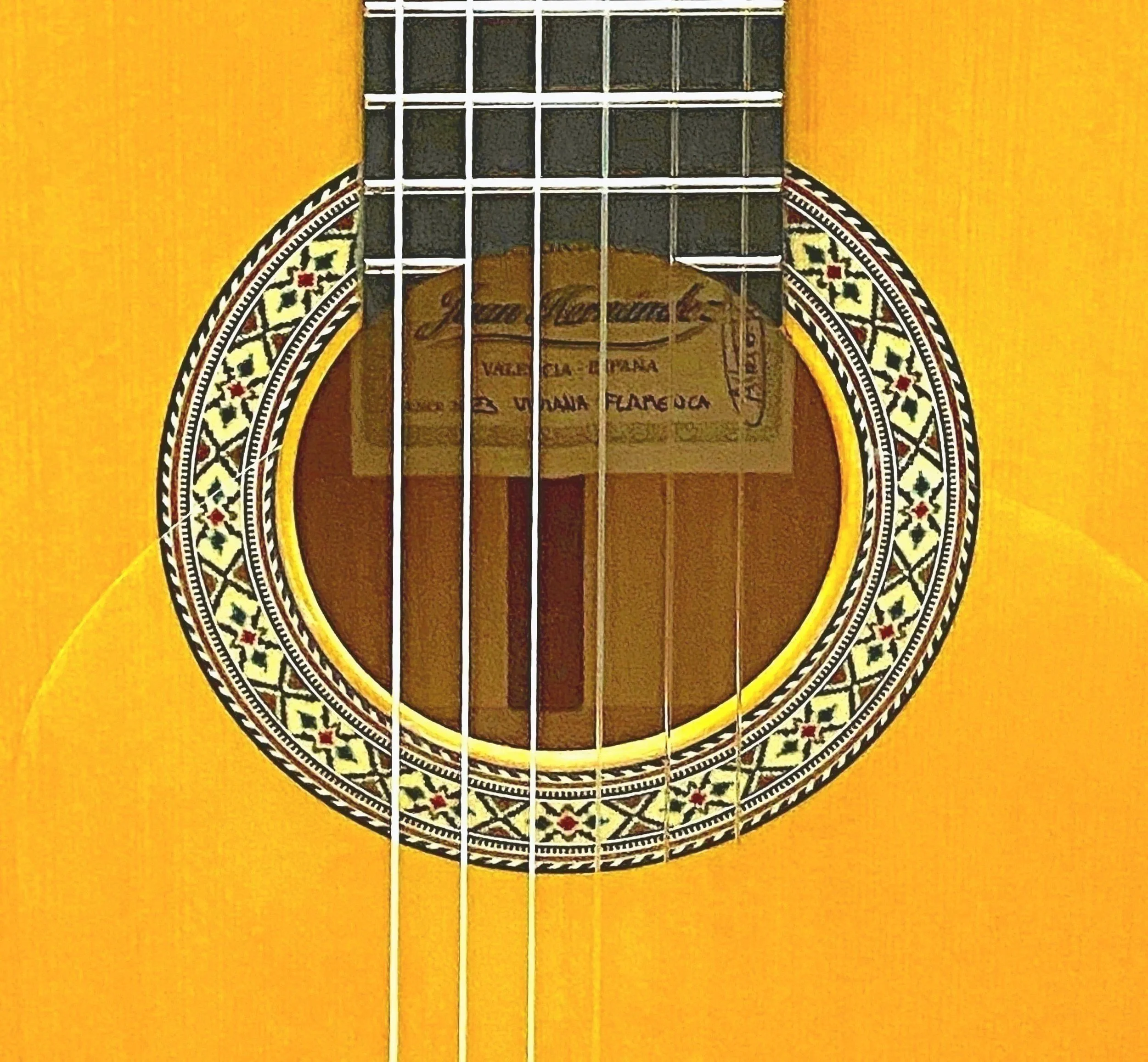 Juan Hernandez Model Viviana Flamenco Guitar (338)-rz5.jpeg