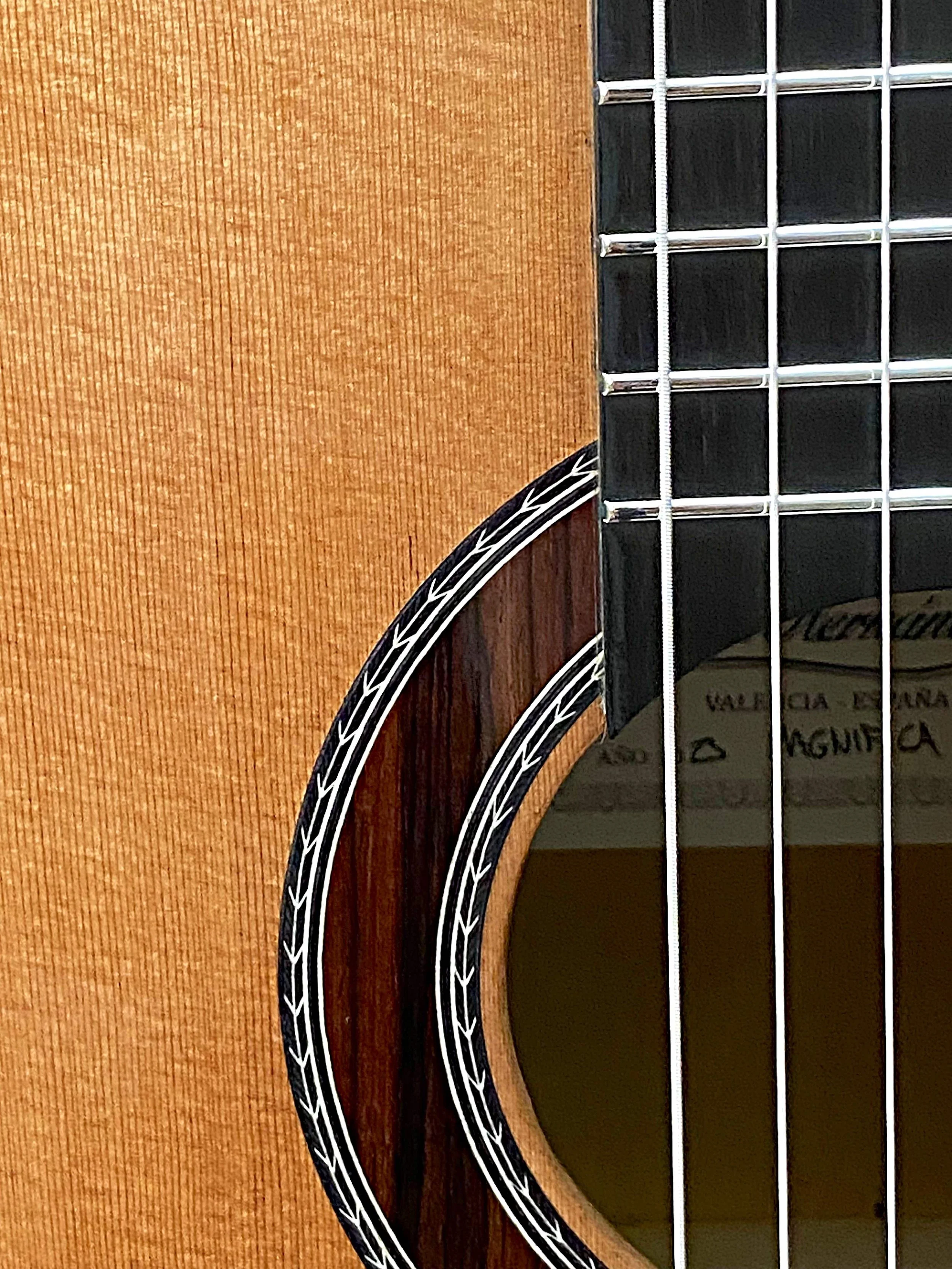 2023 Juan Hernandez-Magificate (44)-rzx1.jpeg