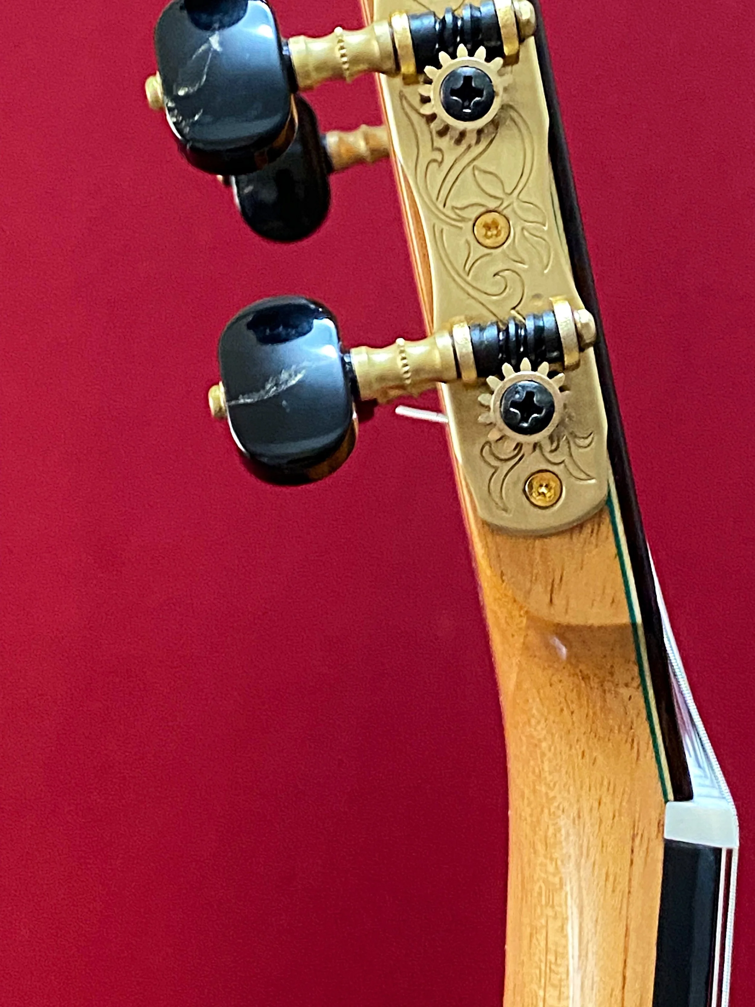 2023 Juan Hernandez-Magificate (44)-grs1.jpeg