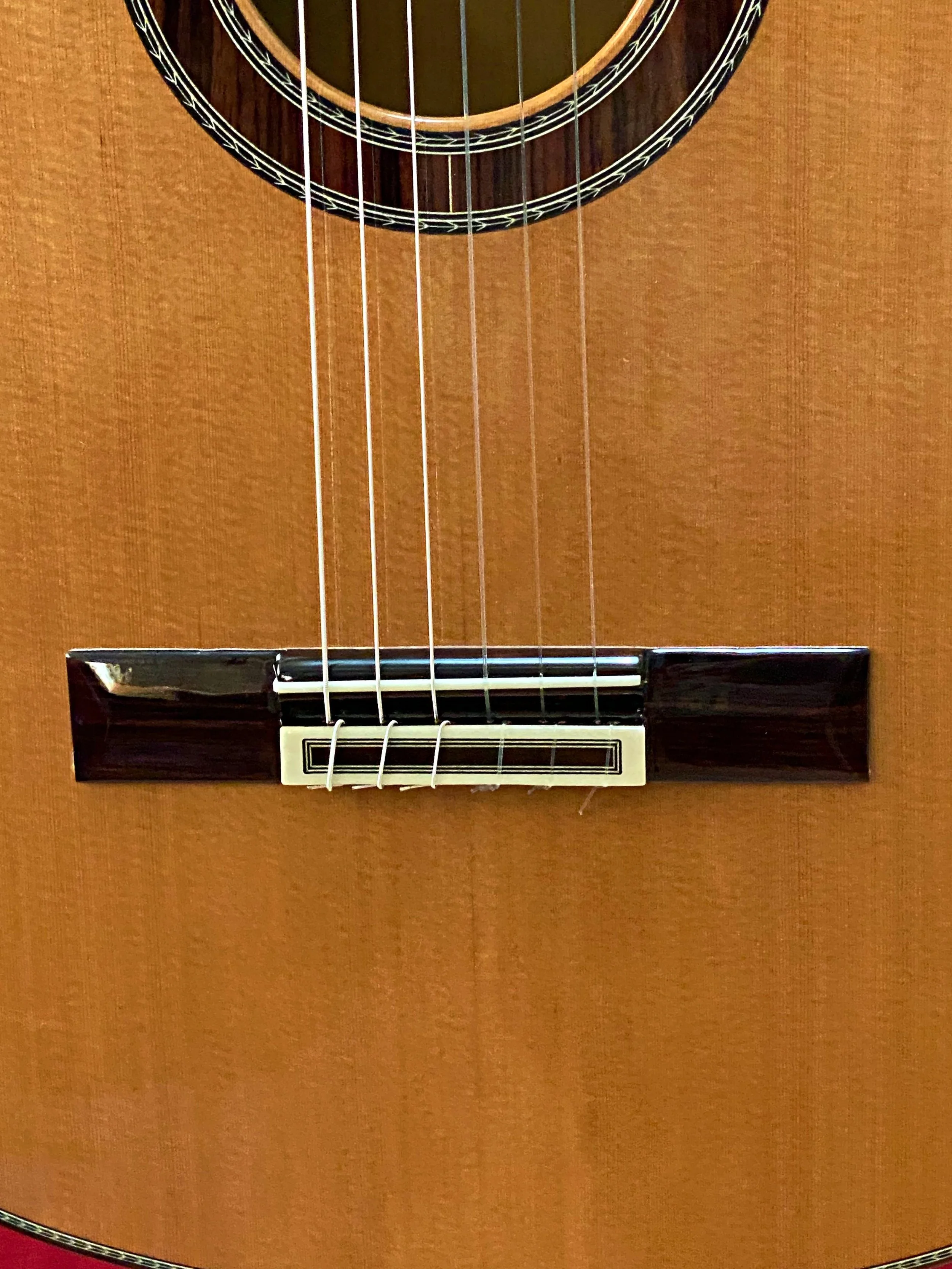 2023 Juan Hernandez-Magificate (44)-bdg2.jpeg